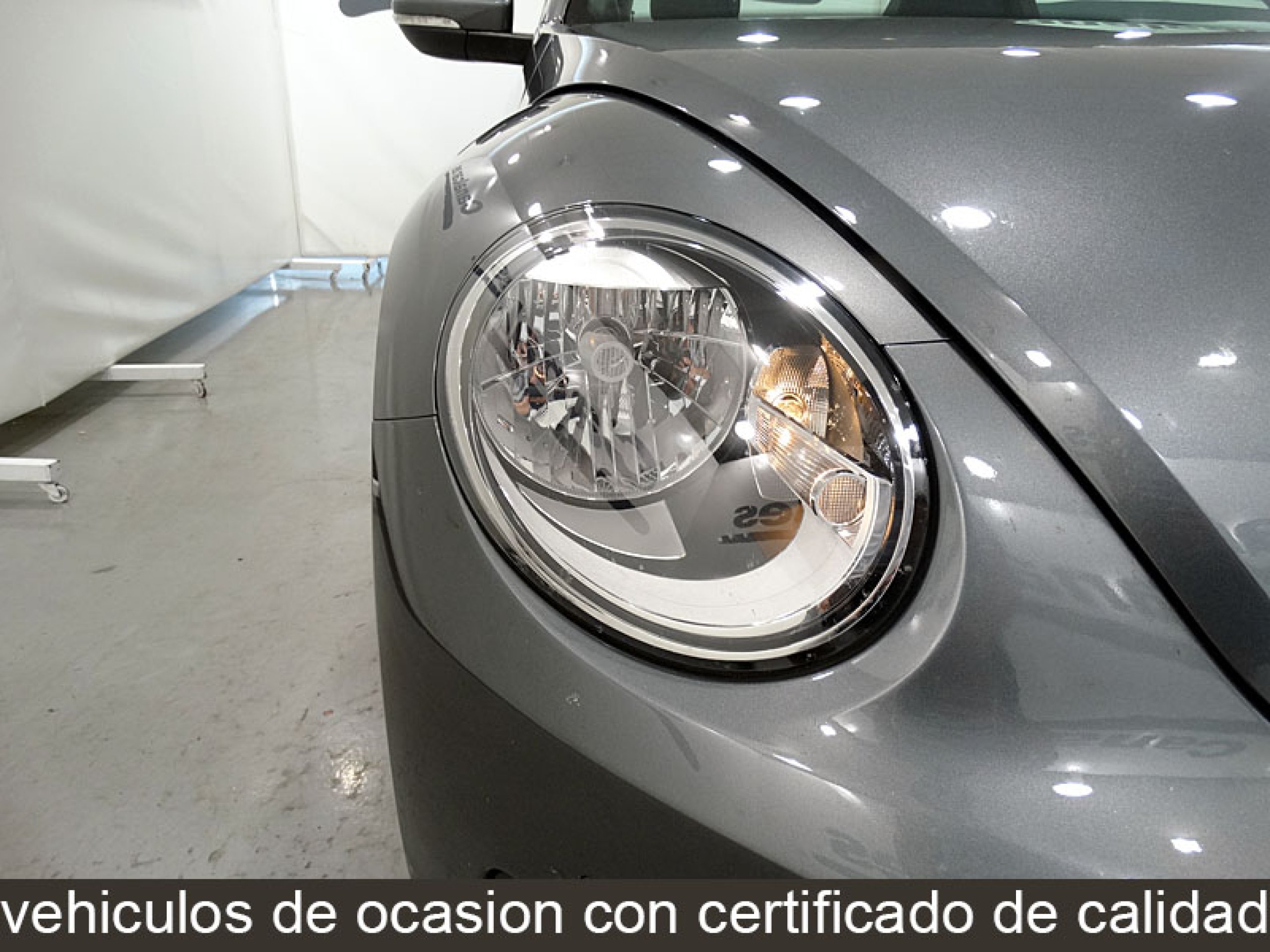 Foto Volkswagen Beetle 17