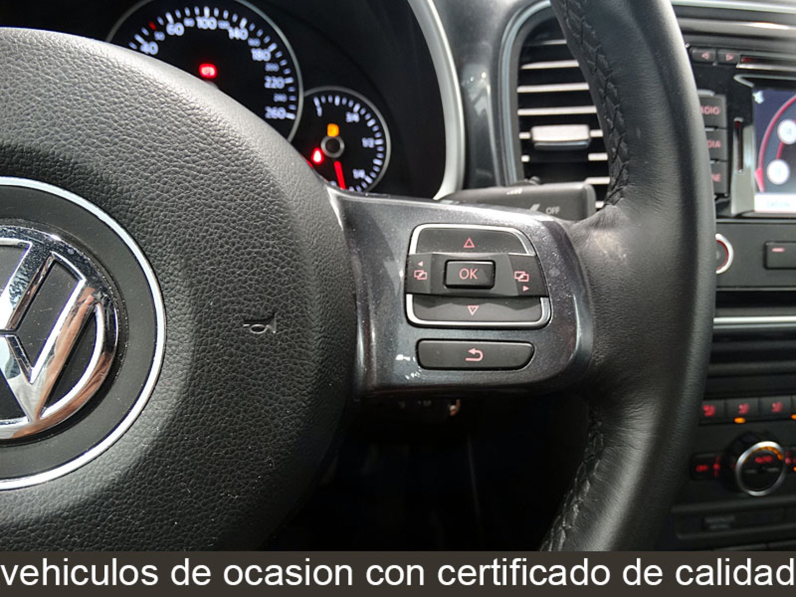 Foto Volkswagen Beetle 27