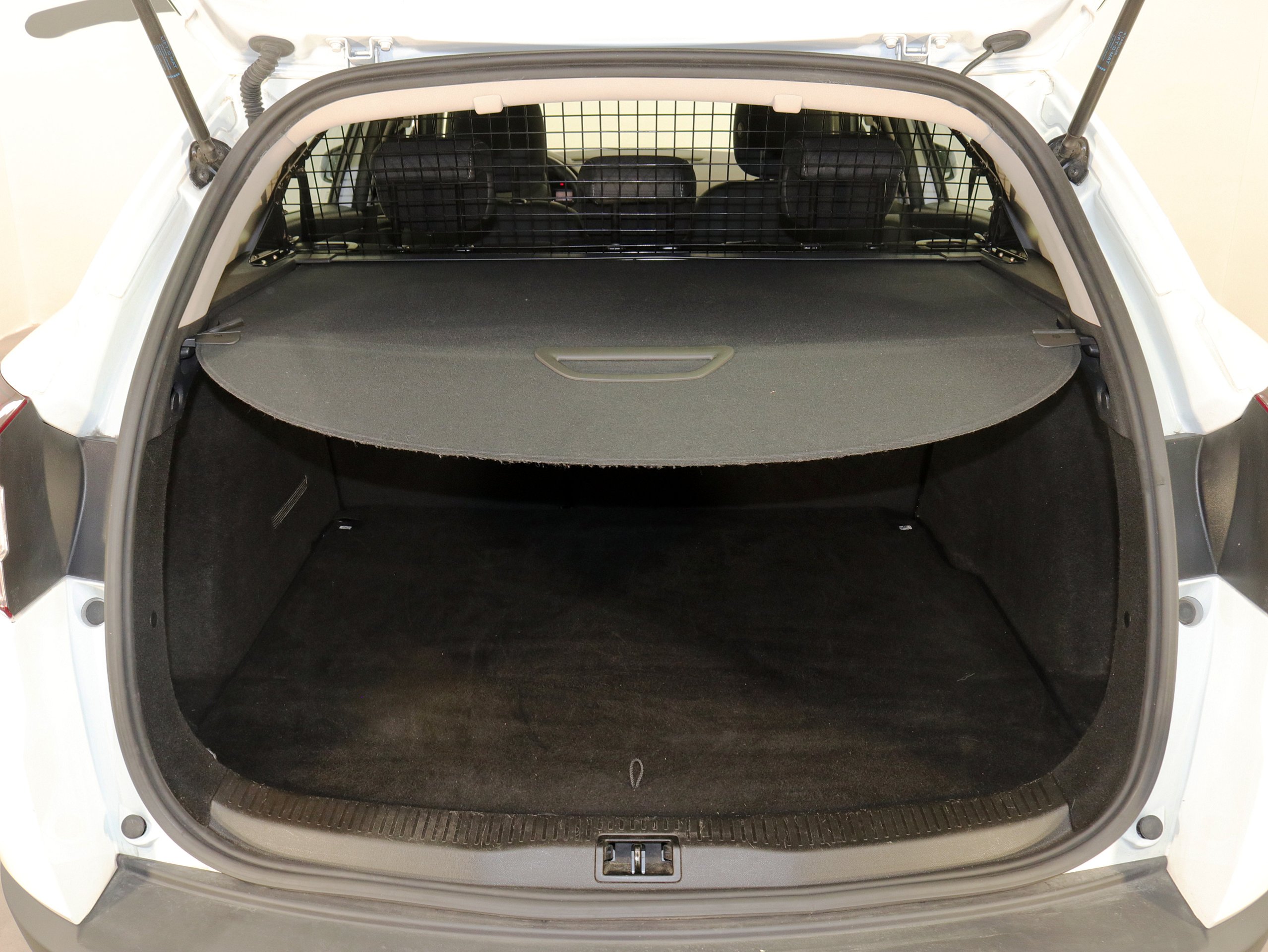 Foto Renault Megane 10