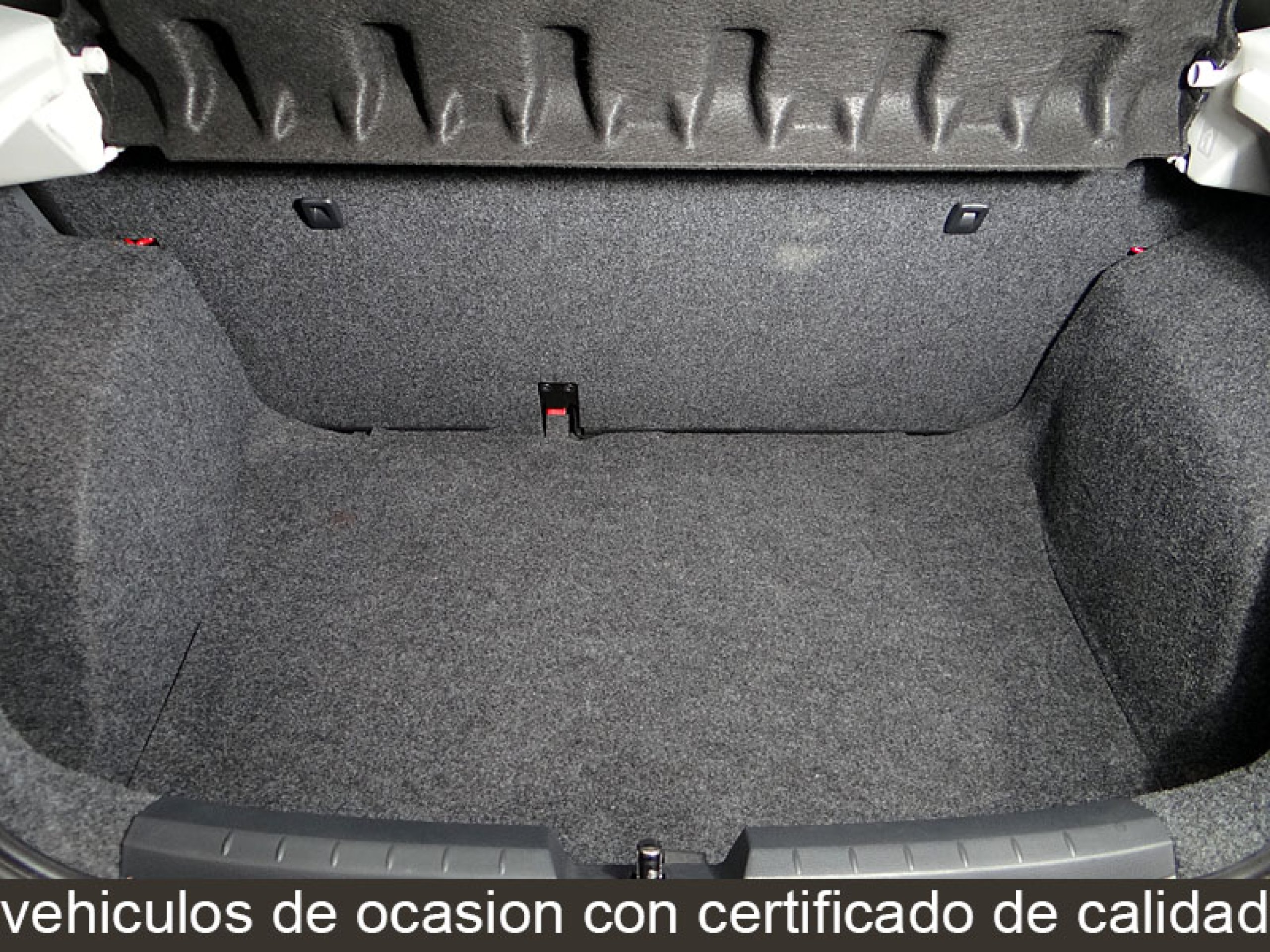 Foto Seat Ibiza 13