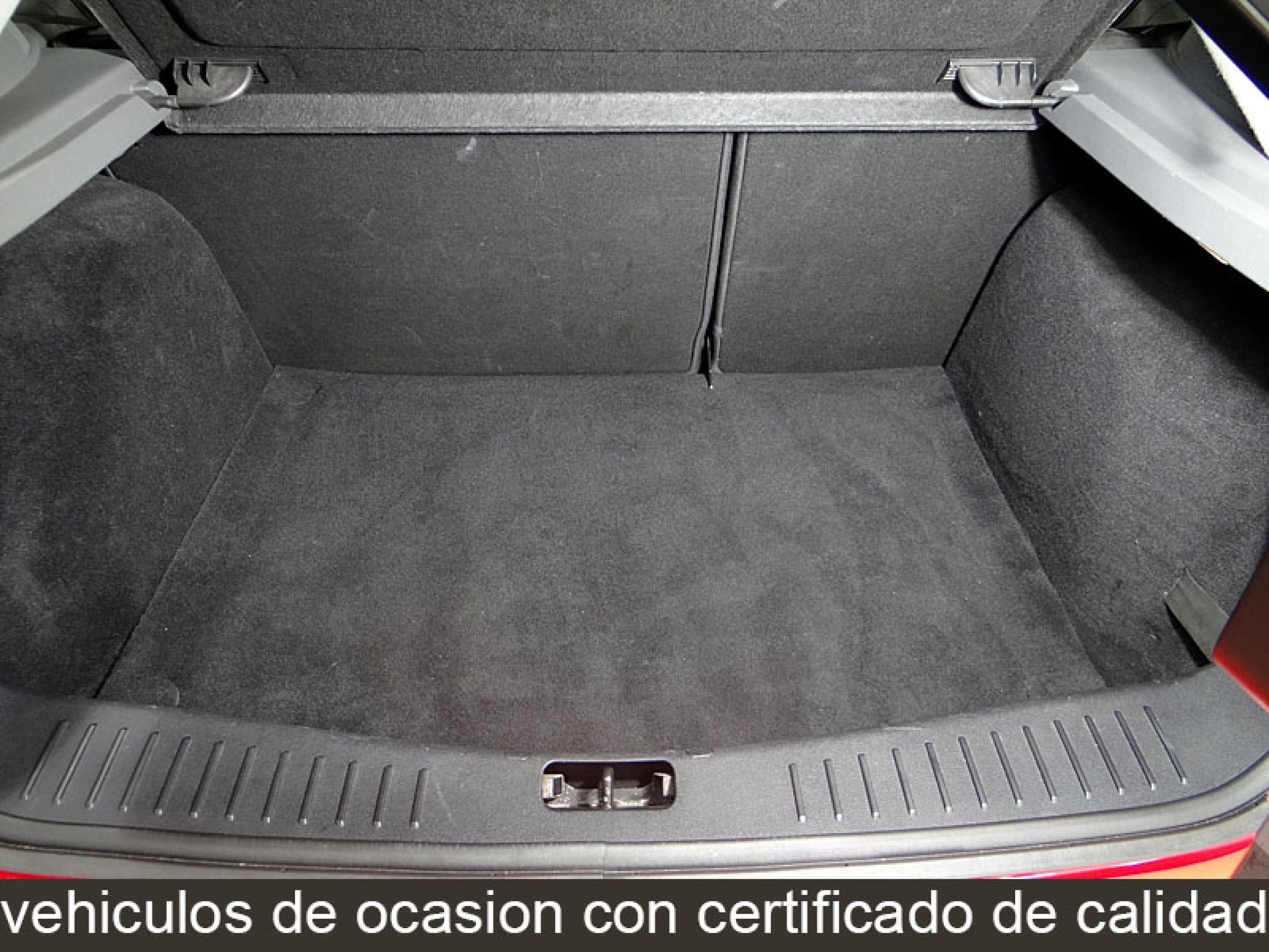 Foto Ford Focus 13
