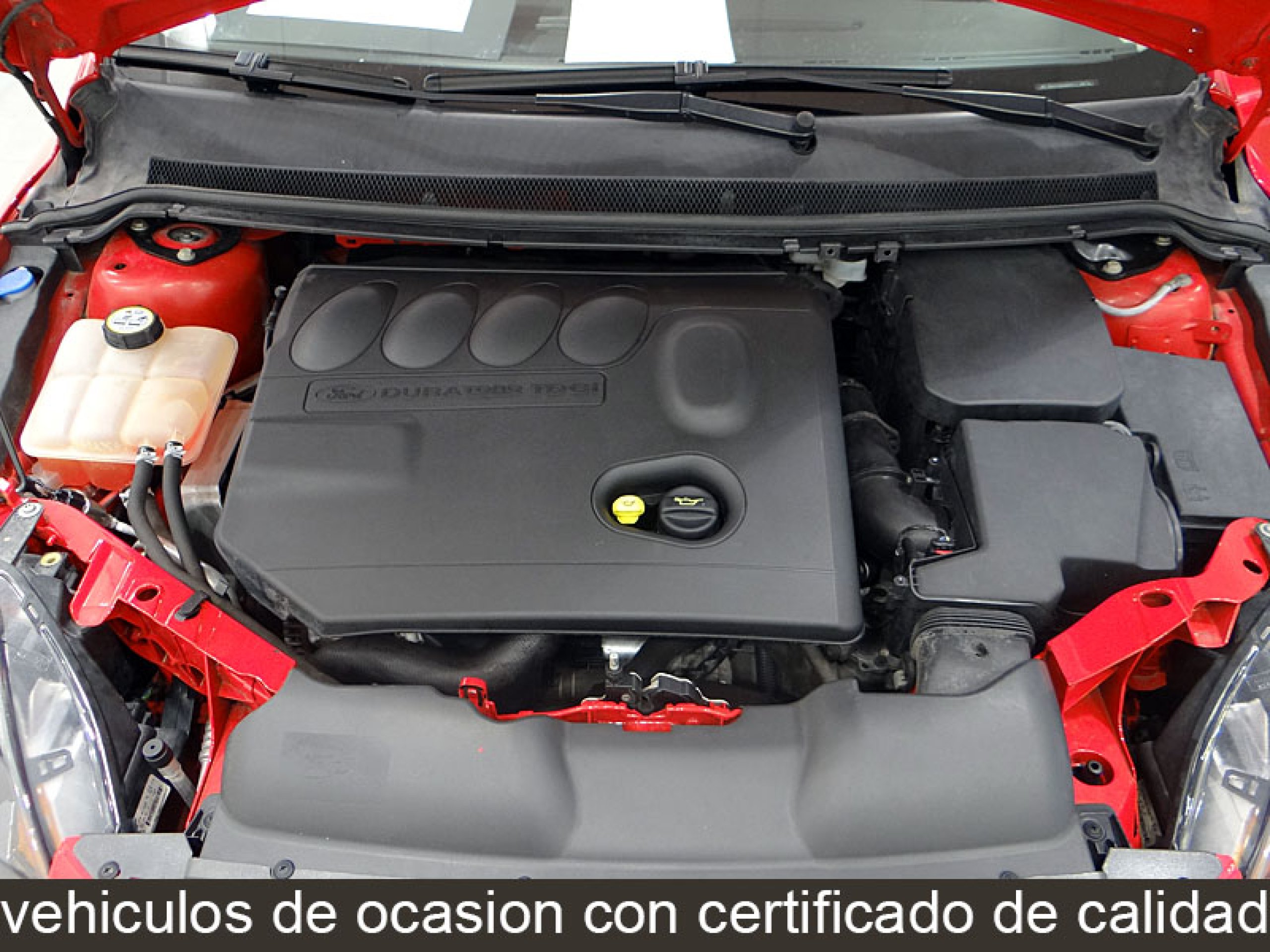 Foto Ford Focus 14