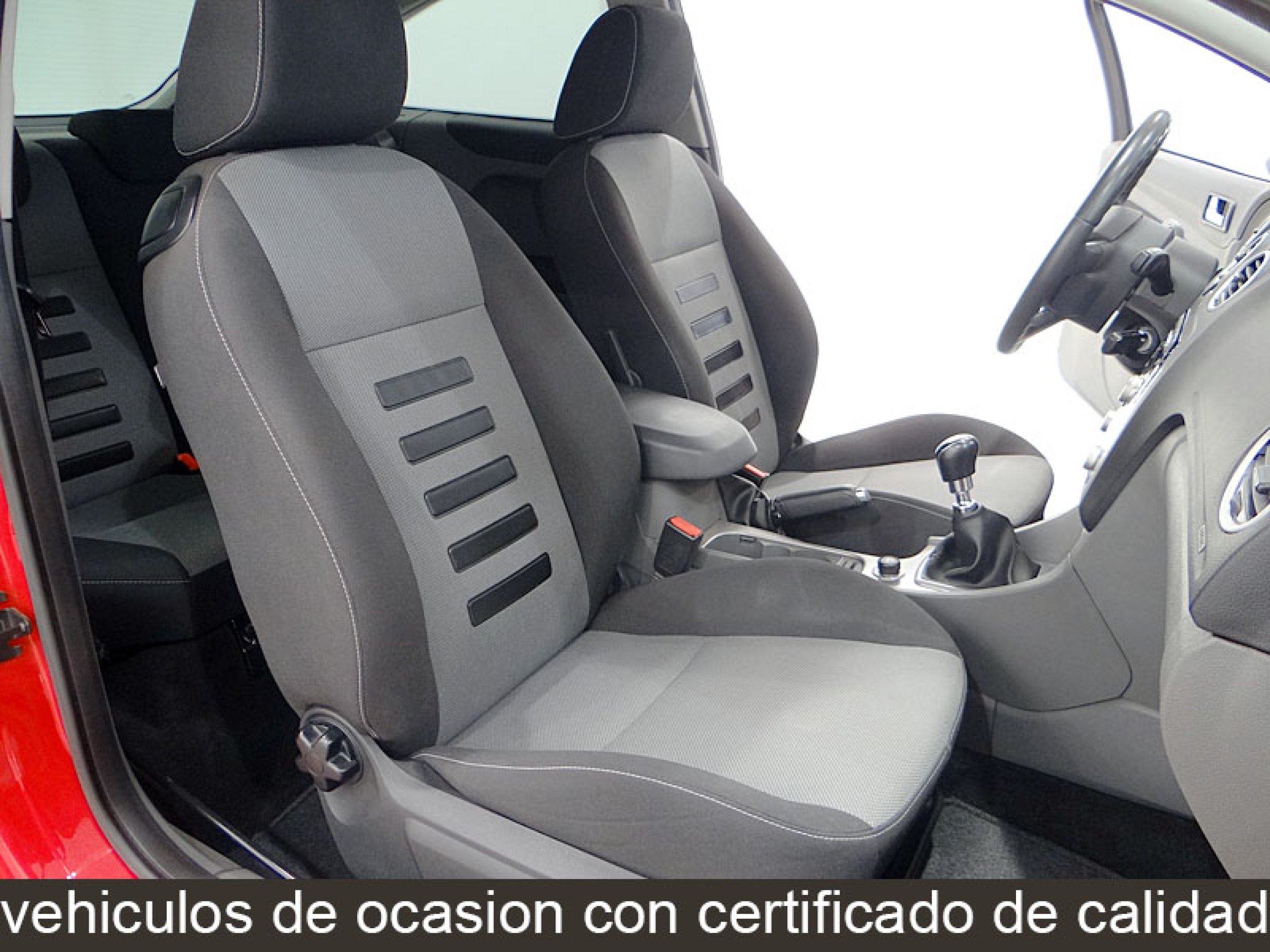 Foto Ford Focus 24