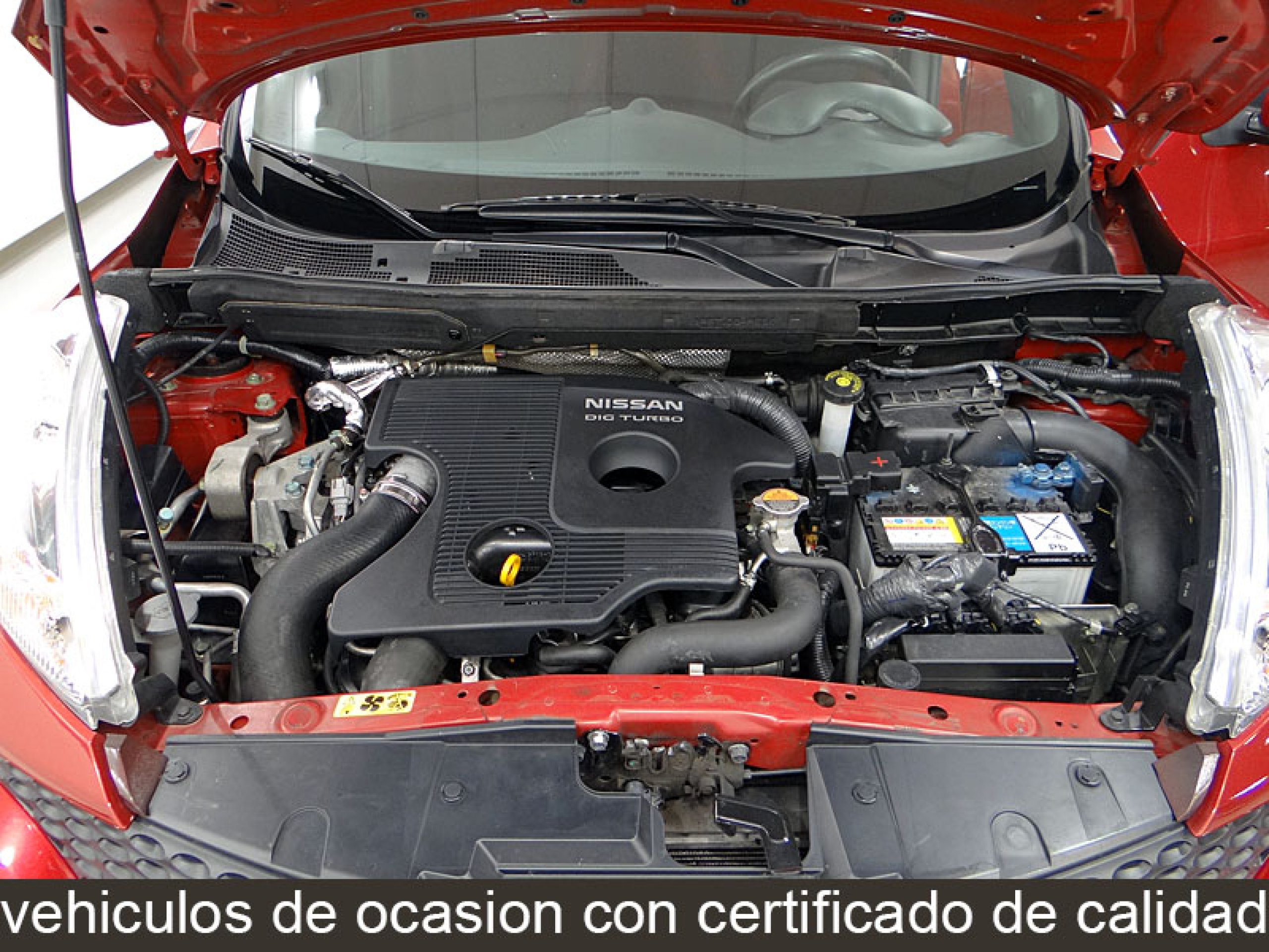 Foto Nissan Juke 12