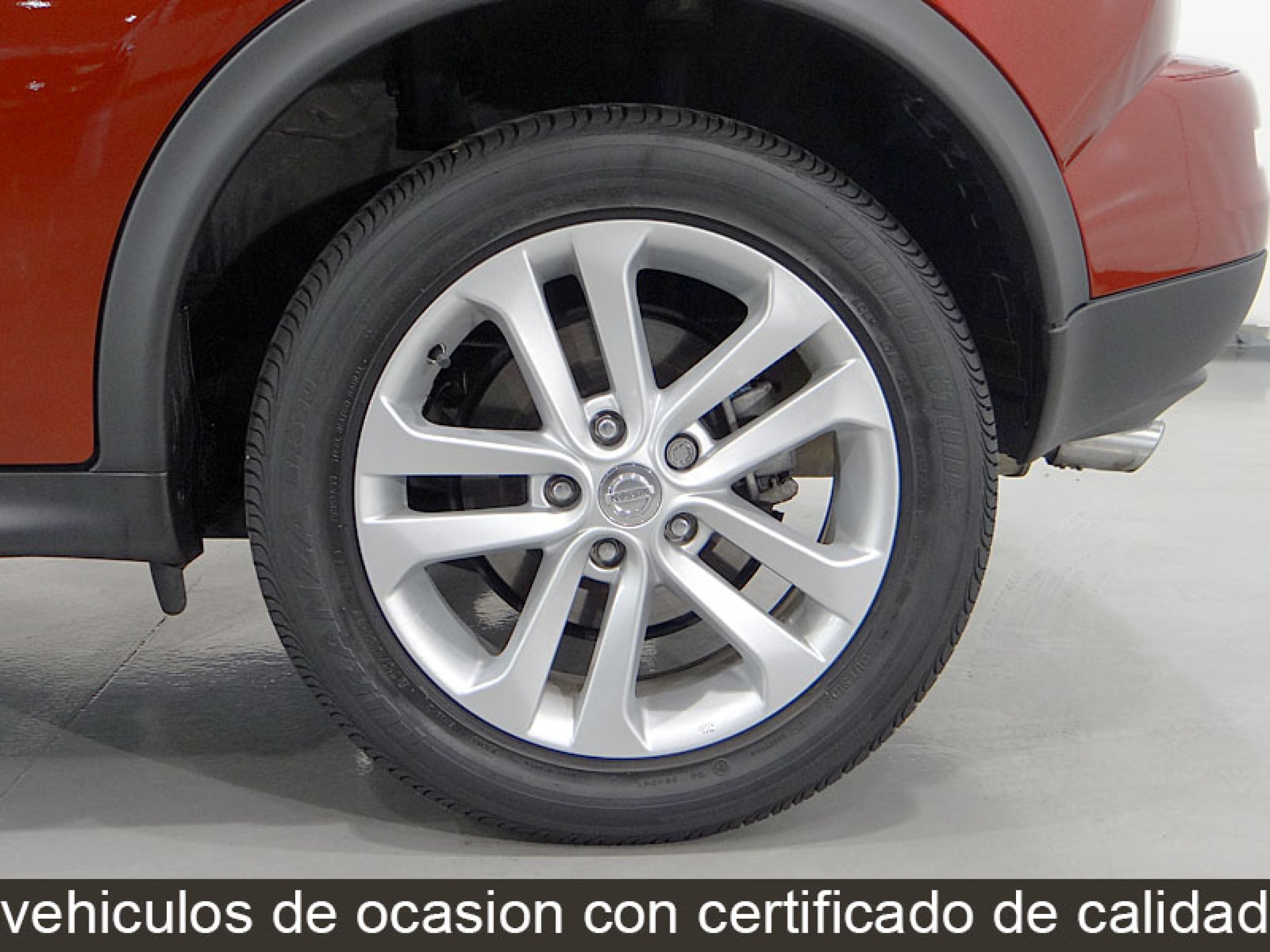 Foto Nissan Juke 15