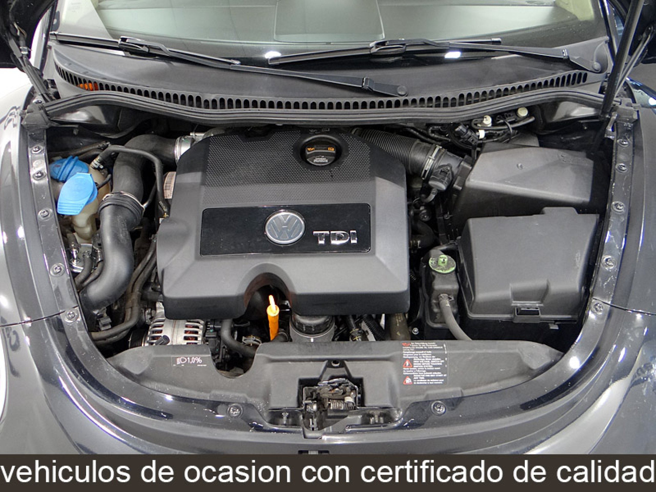 Foto Volkswagen New Beetle 17