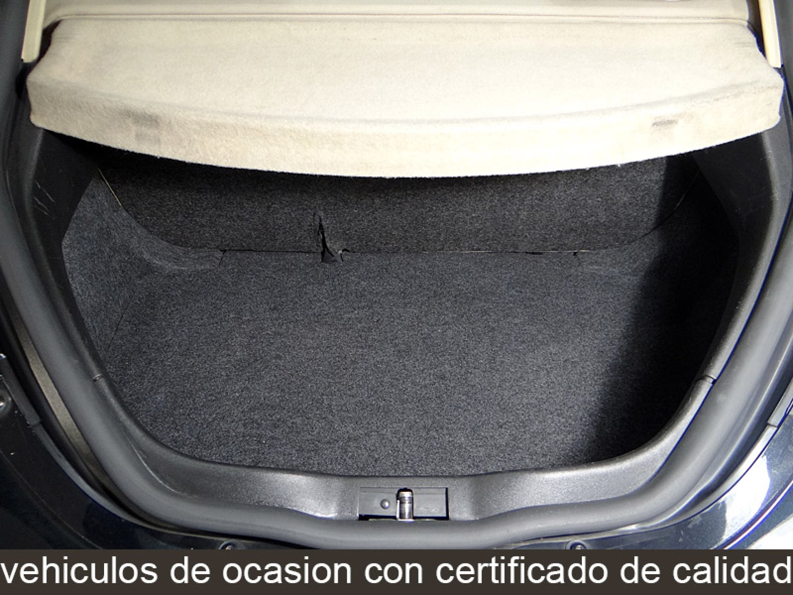 Foto Volkswagen New Beetle 18