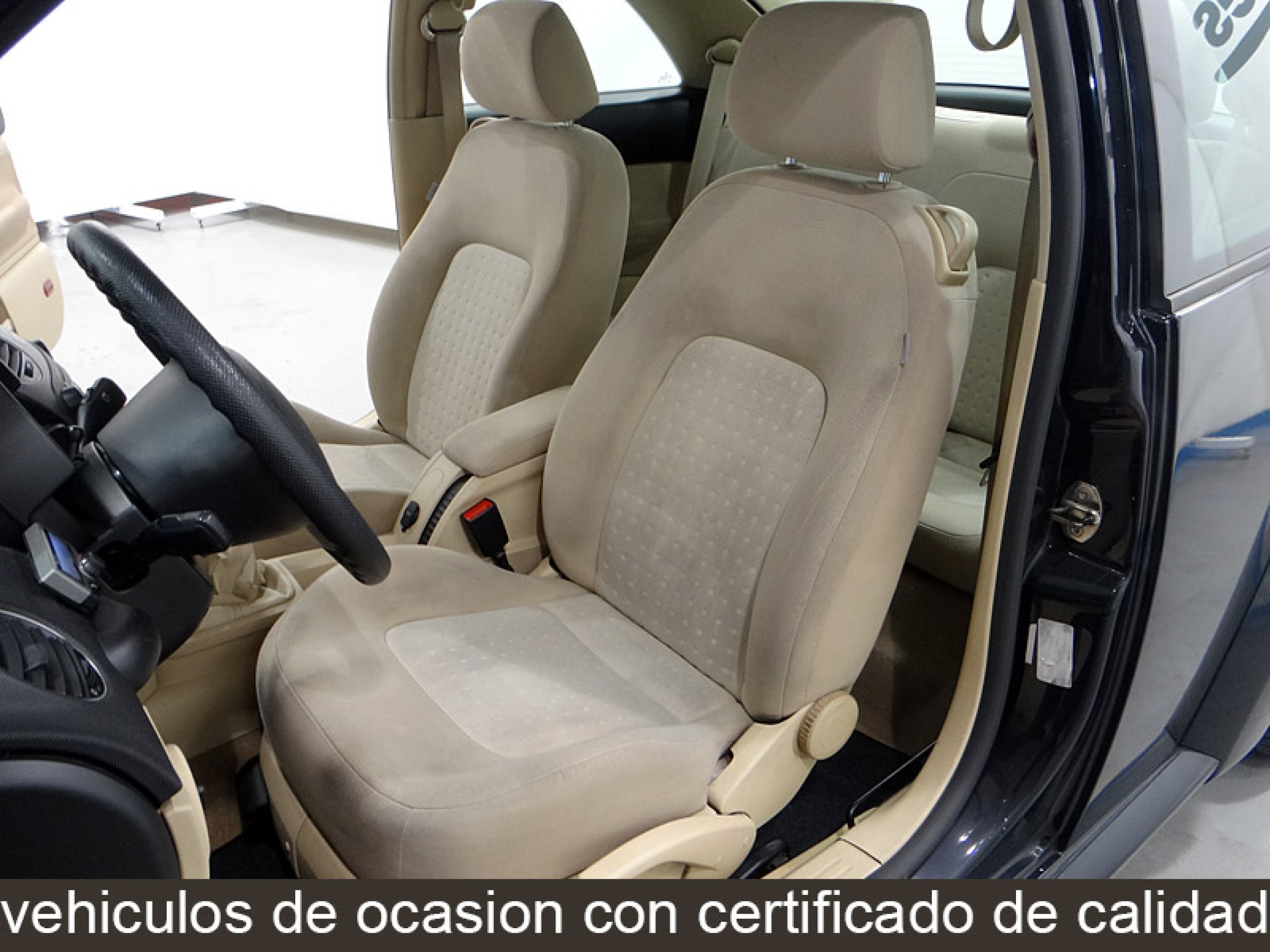 Foto Volkswagen New Beetle 19