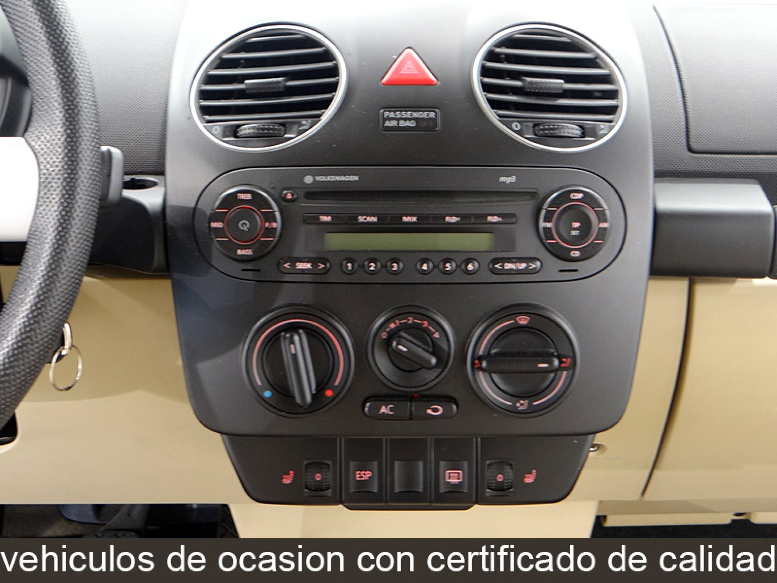 Foto Volkswagen New Beetle 30
