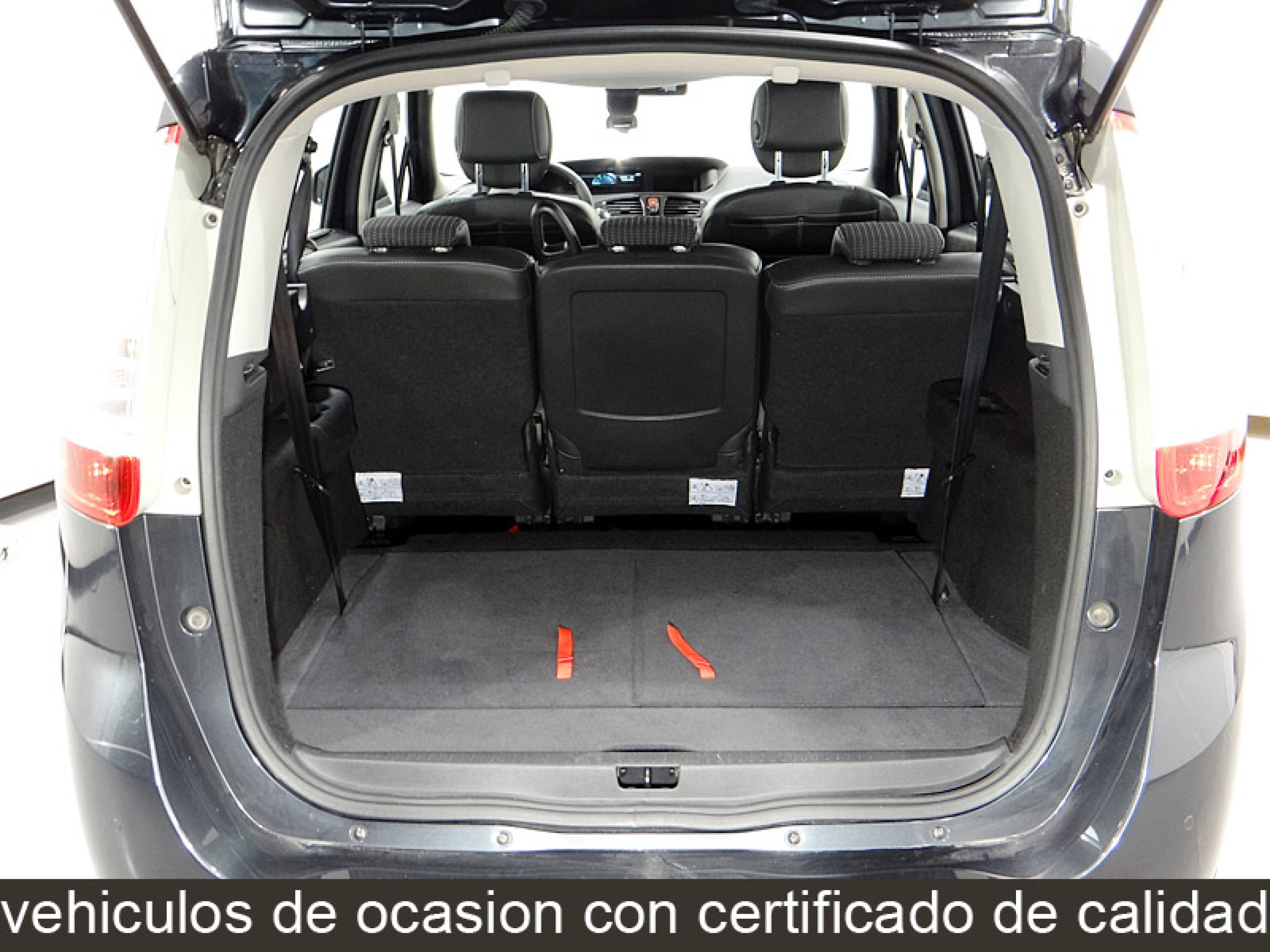 Foto Renault Grand Scenic 16