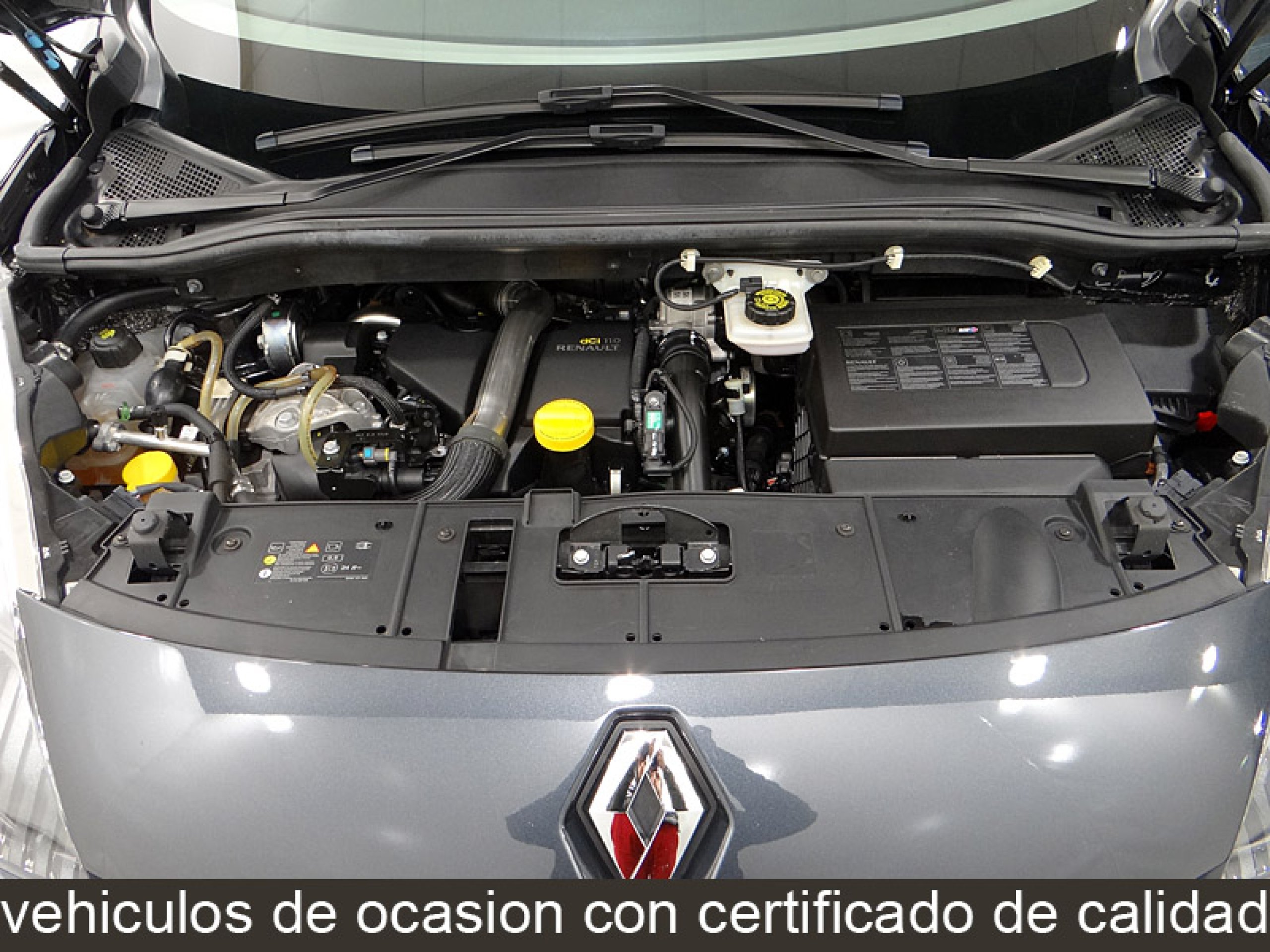 Foto Renault Grand Scenic 19