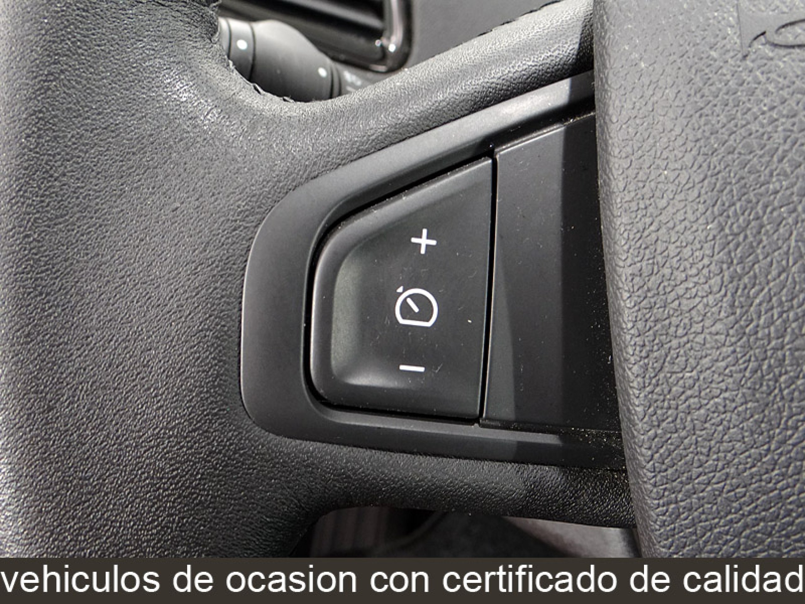 Foto Renault Grand Scenic 34