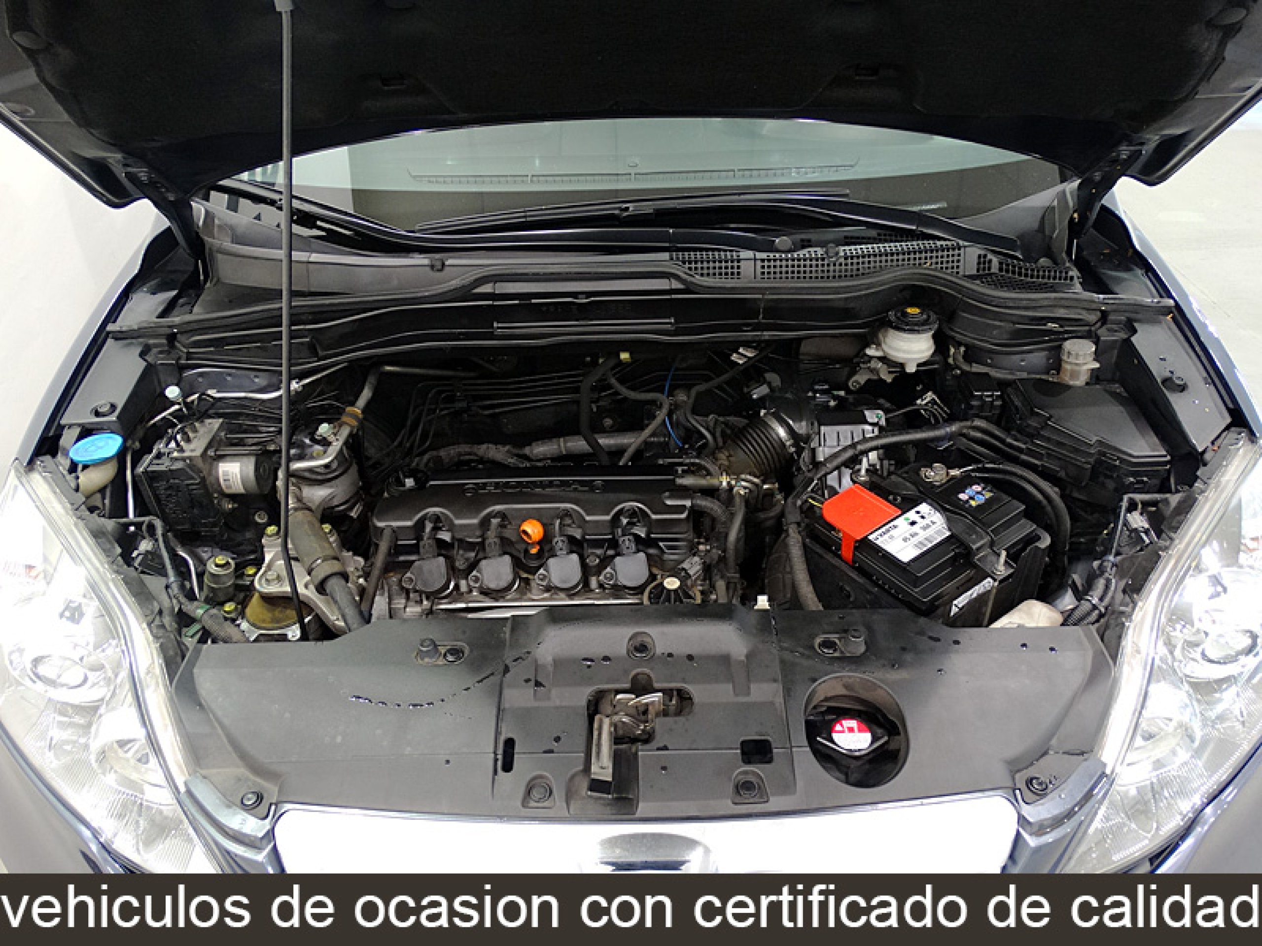 Foto Honda CR-V 13