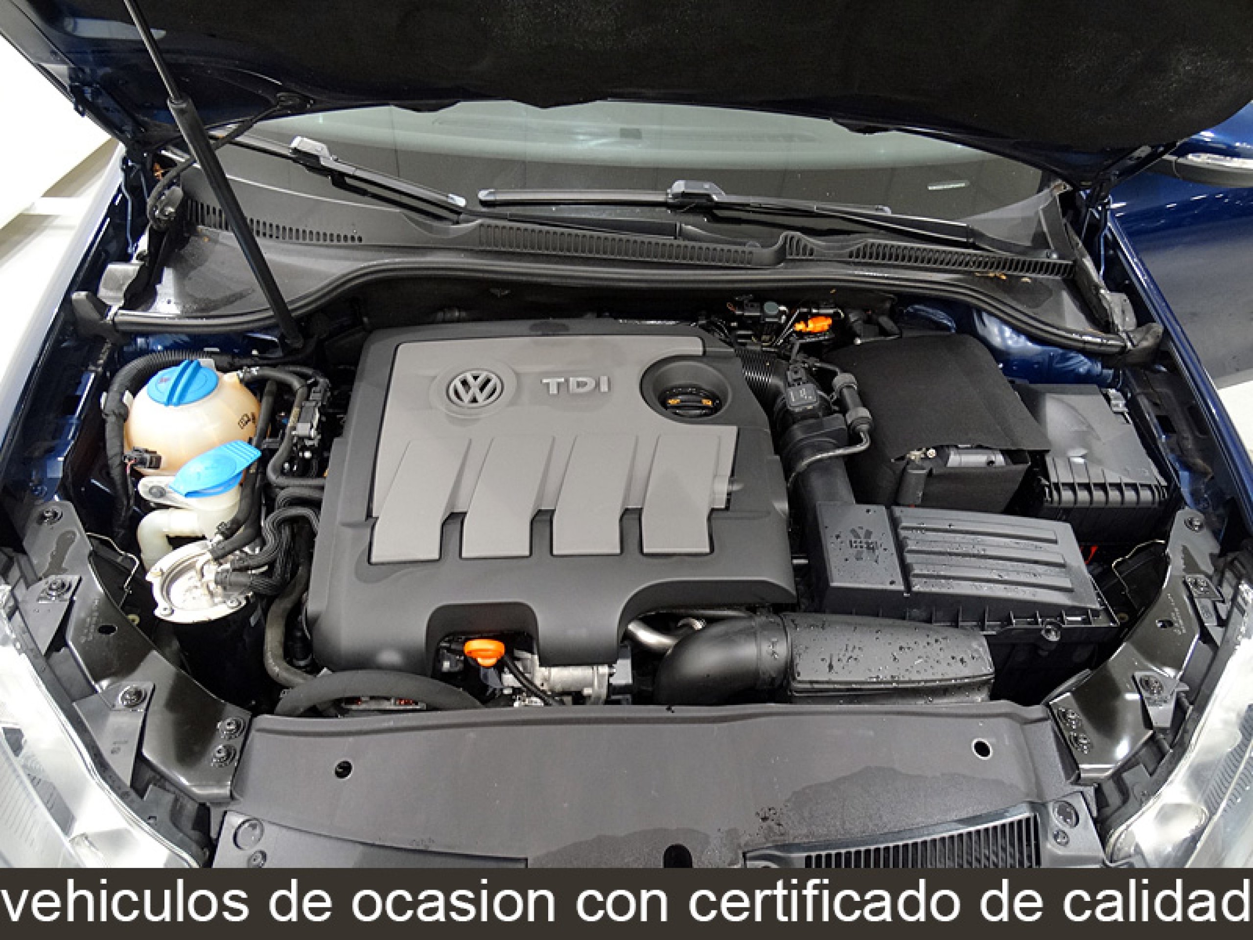 Foto Volkswagen Golf 12