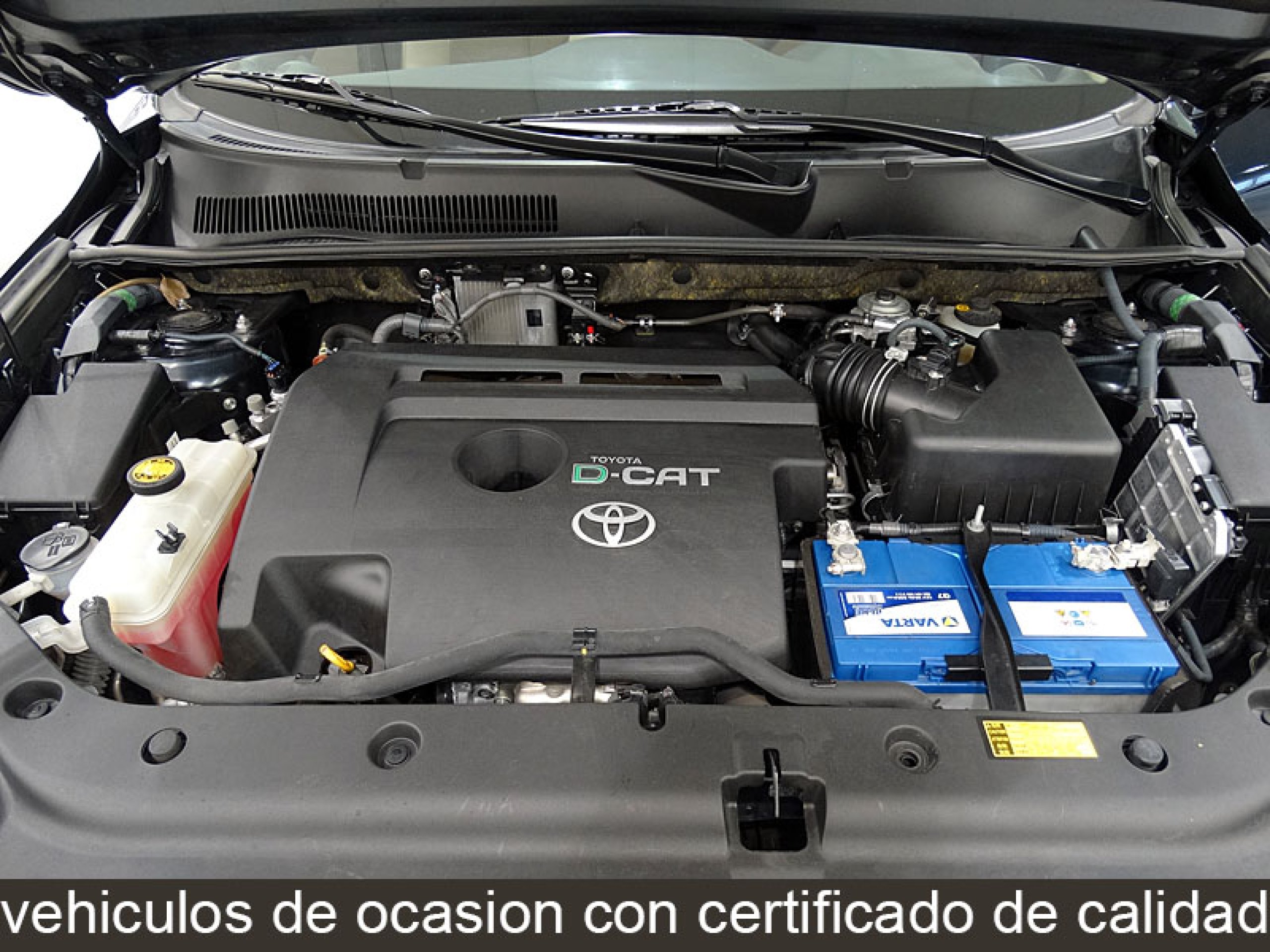 Foto Toyota RAV-4 12