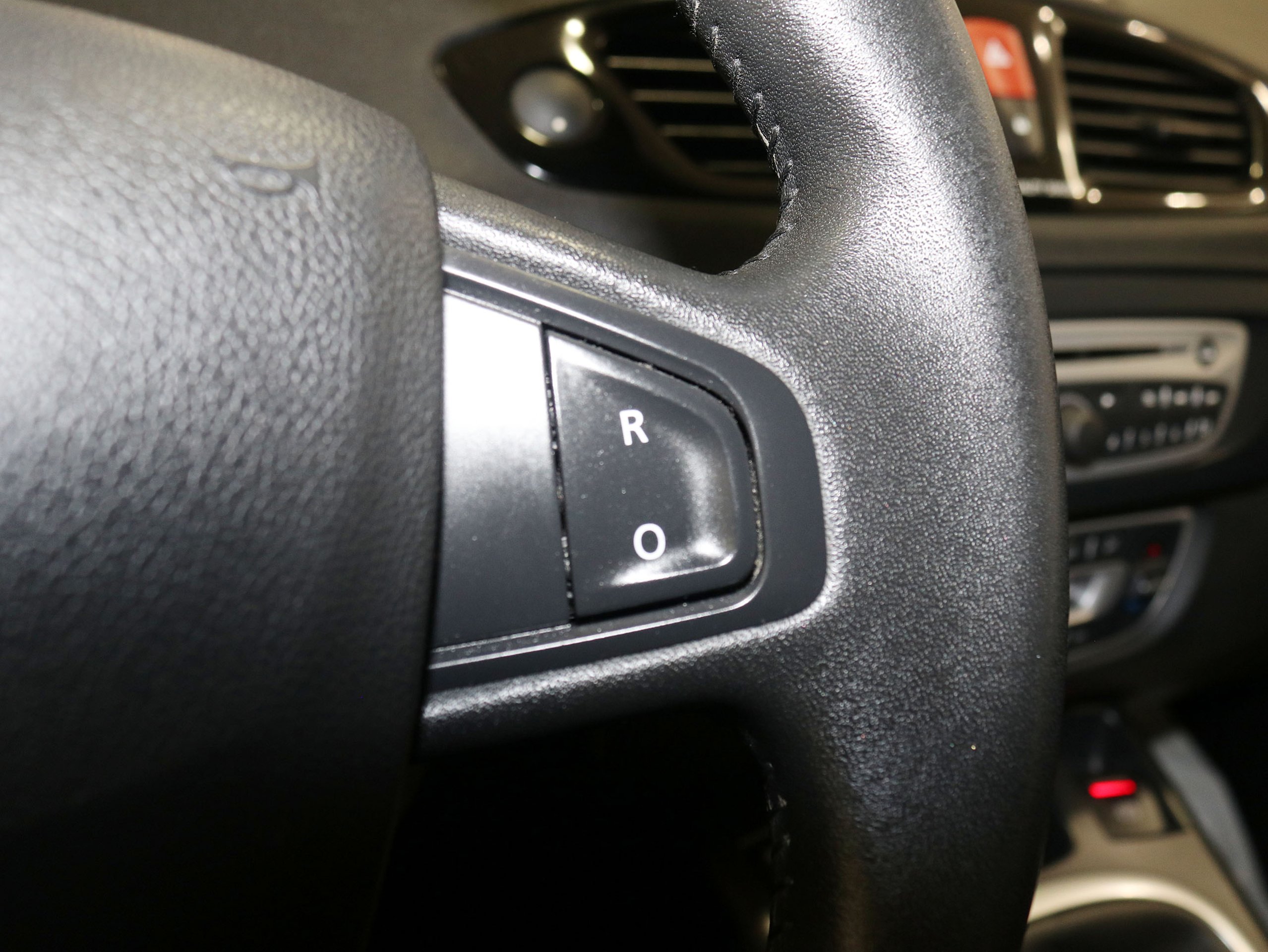 Foto Renault Scenic 27