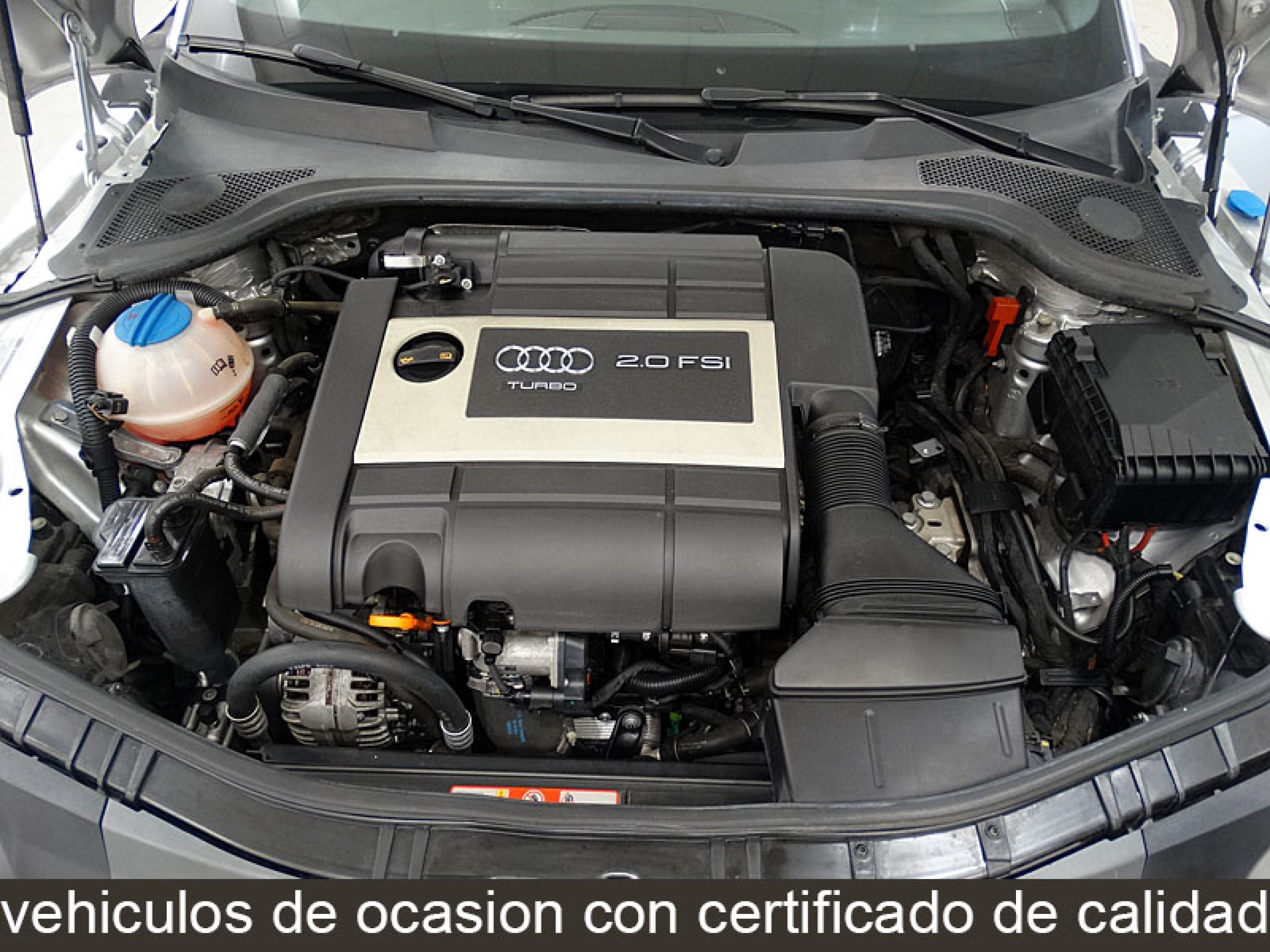 Foto Audi TT 12 Foto Audi TT 12