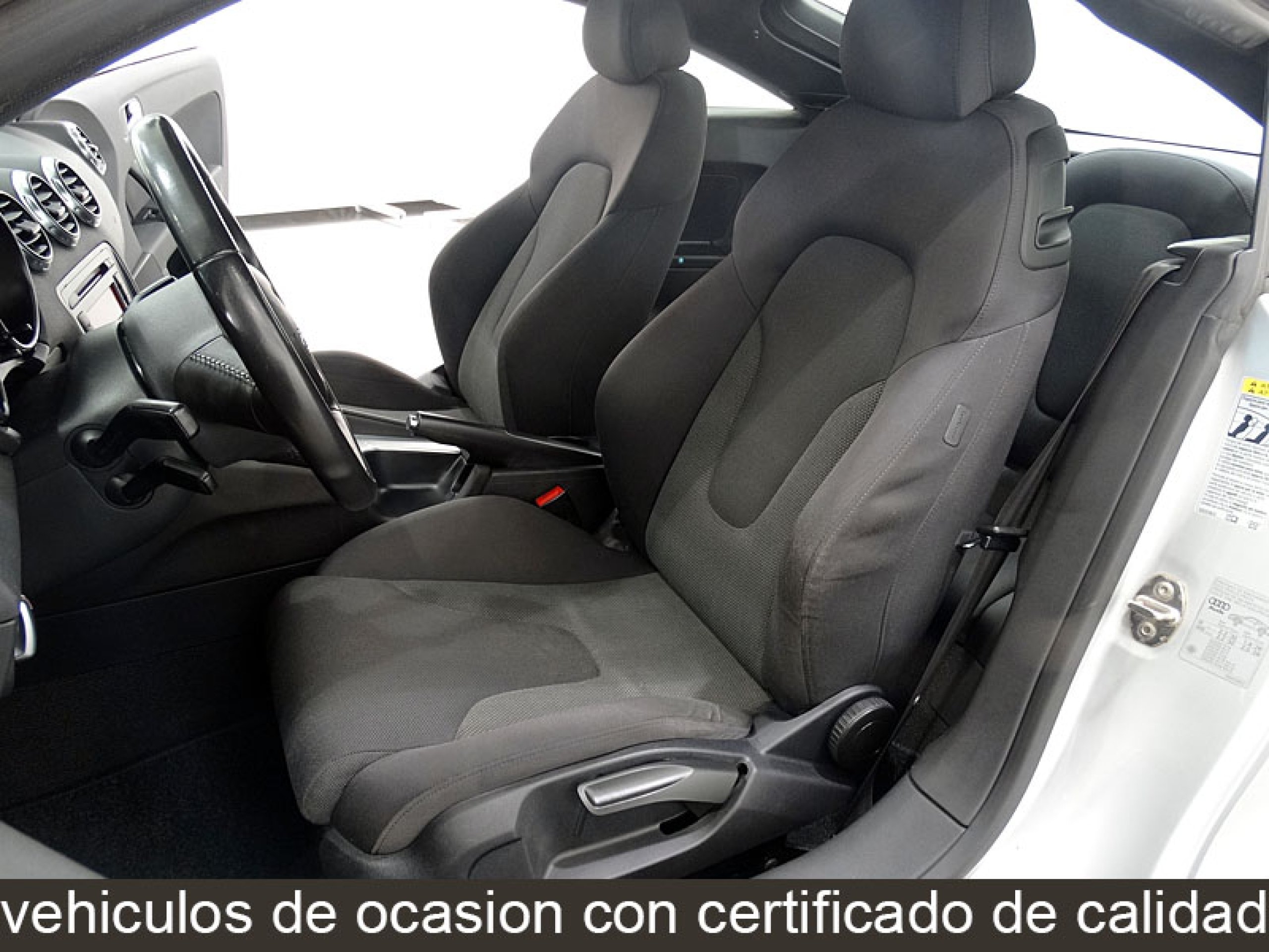 Foto Audi TT 23 Foto Audi TT 23