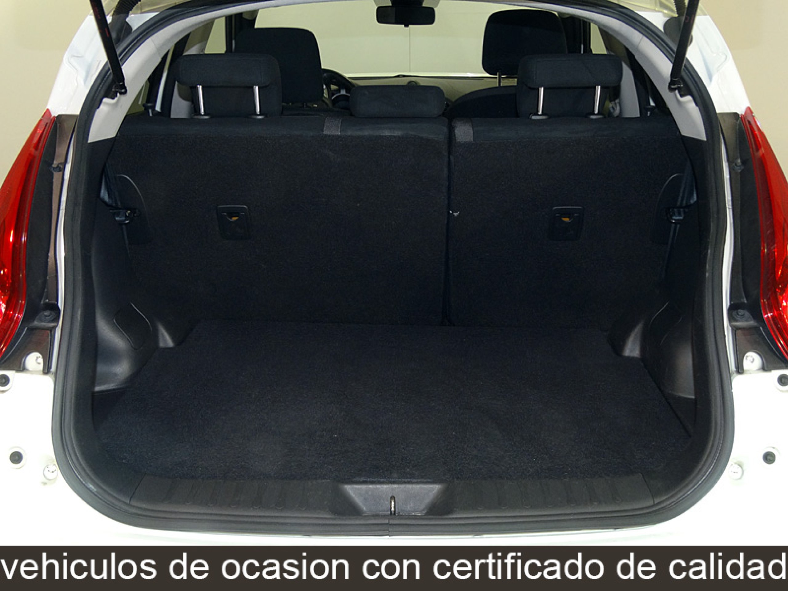 Foto Nissan Juke 10