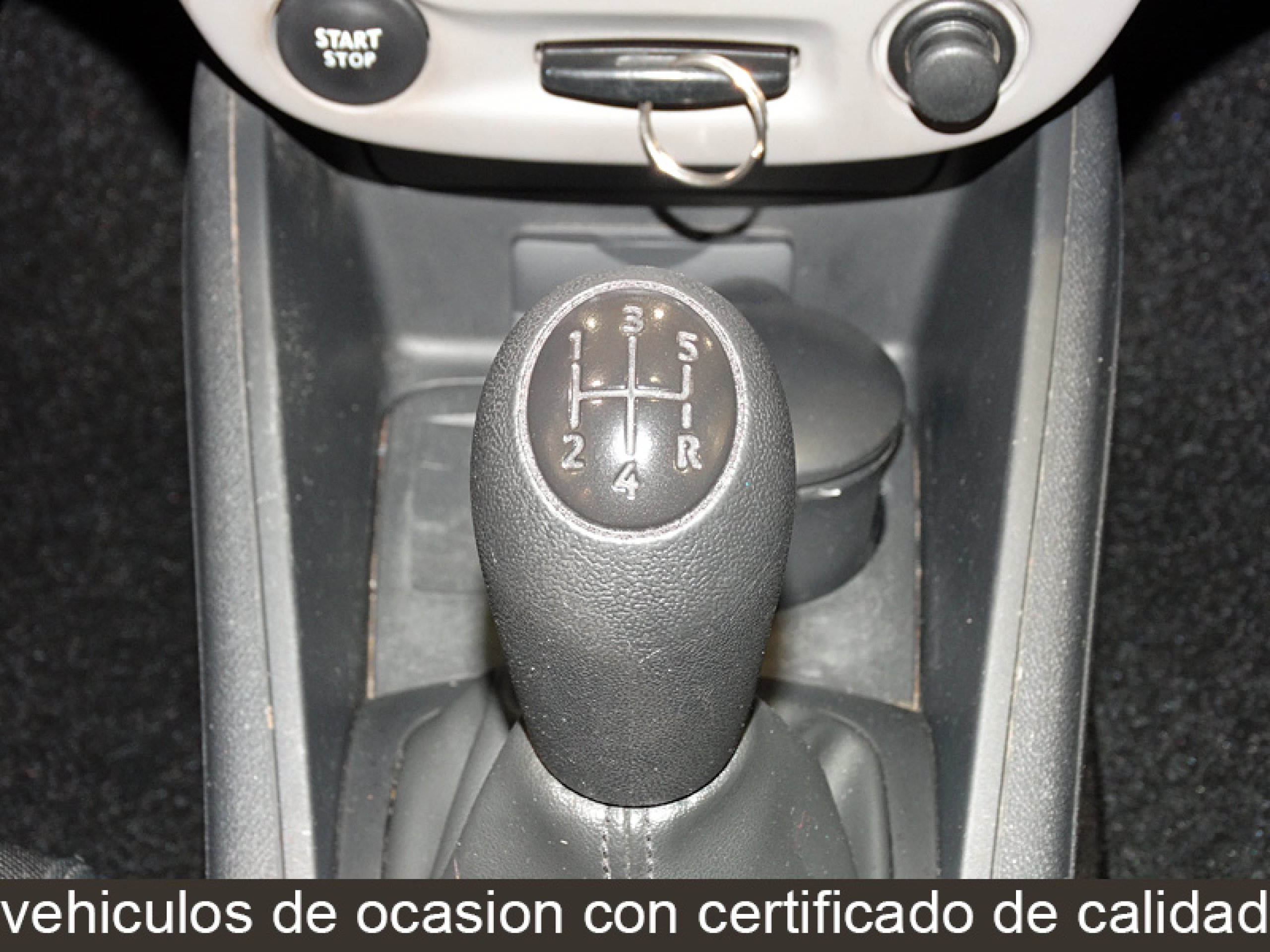 Foto Renault Megane 21