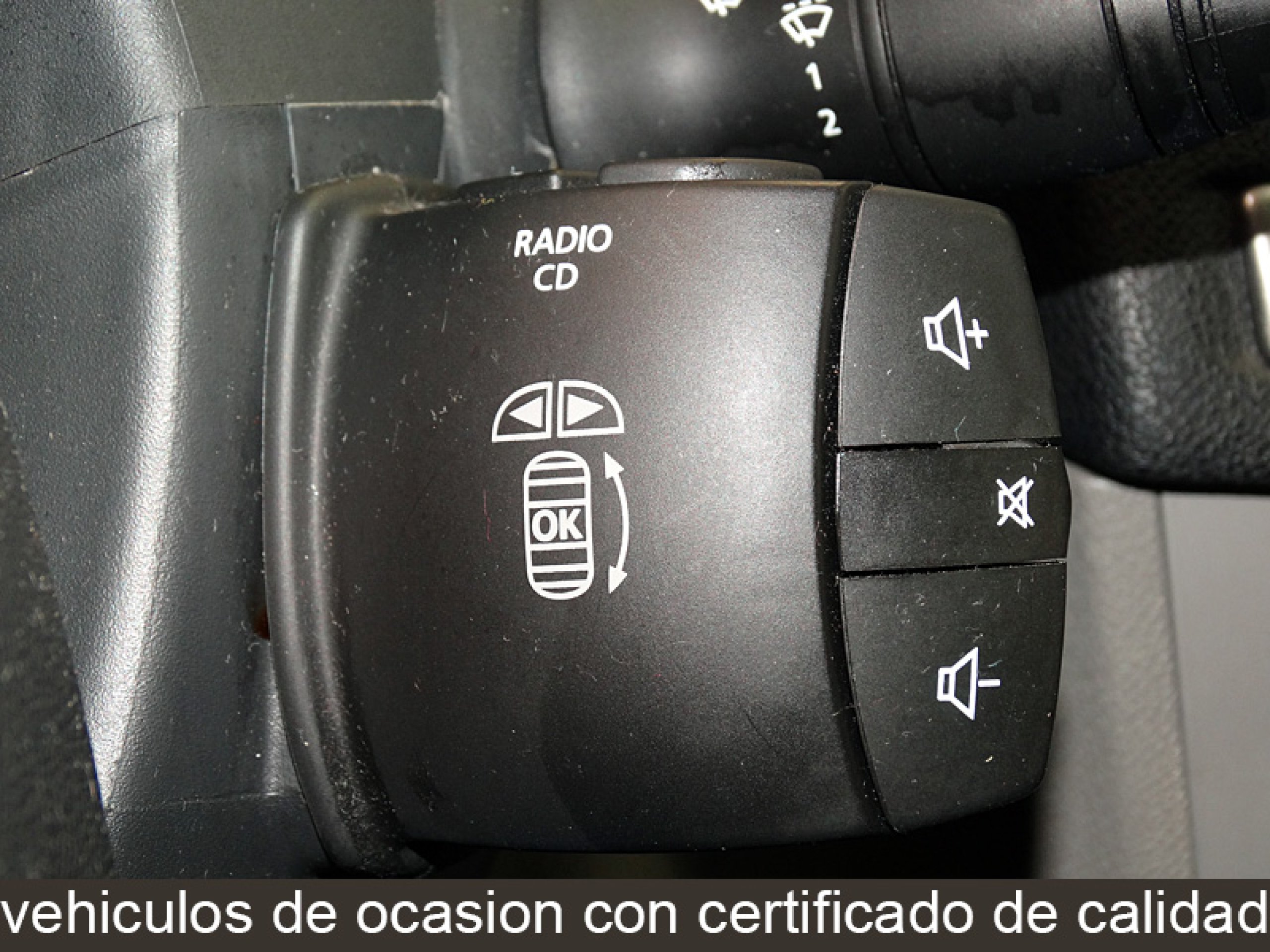 Foto Renault Megane 29