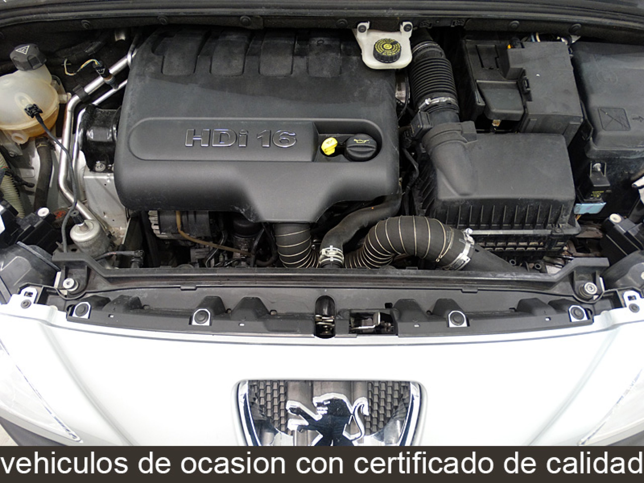 Foto Peugeot 308 13