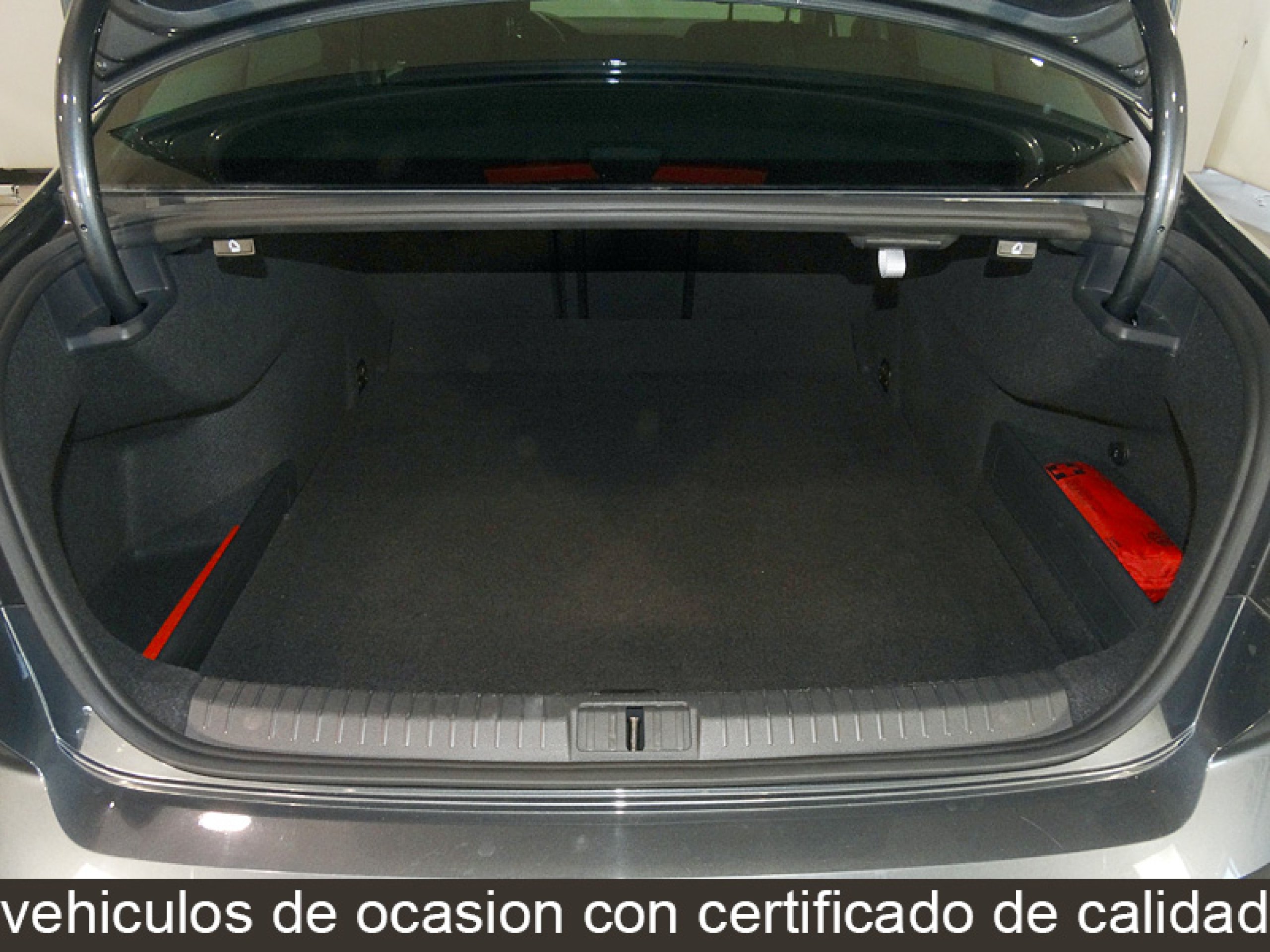 Foto Volkswagen Passat 9