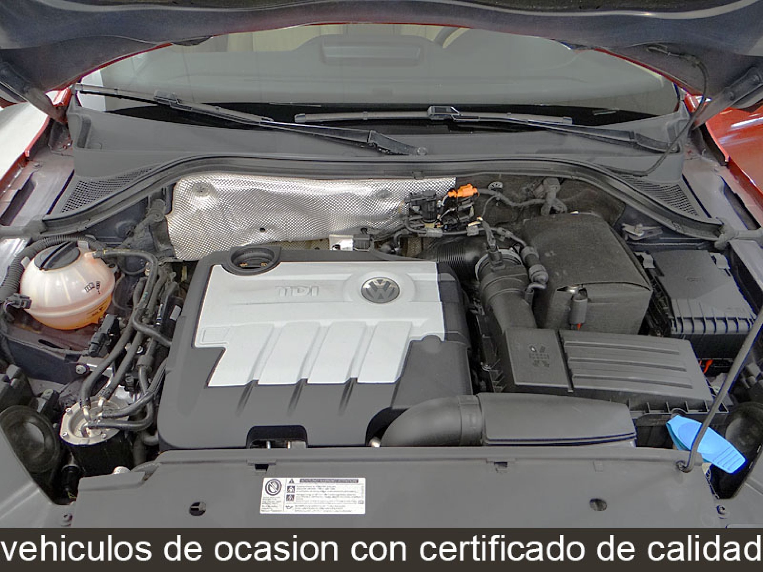 Foto Volkswagen Tiguan 12