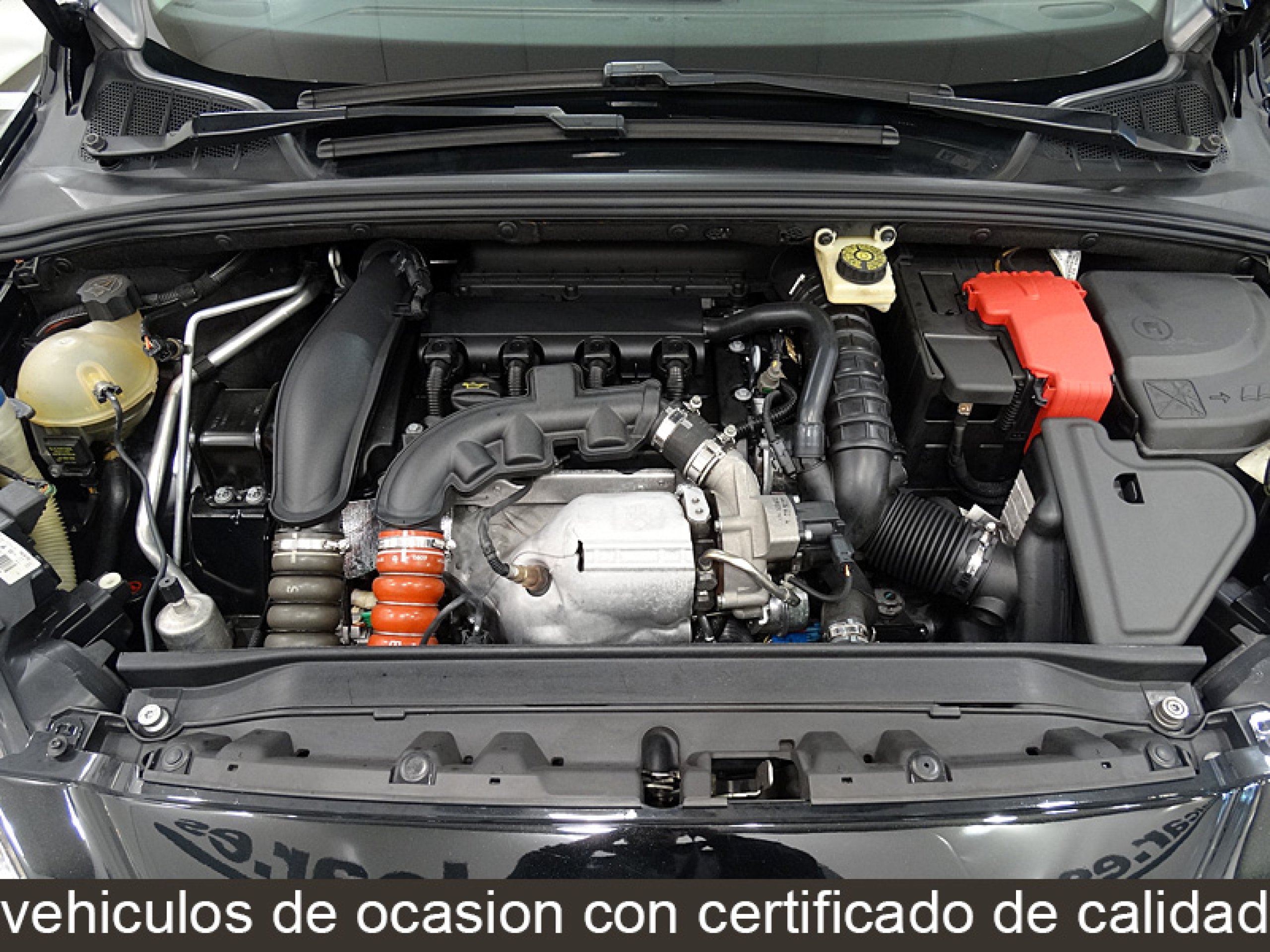 Foto Peugeot 308 14