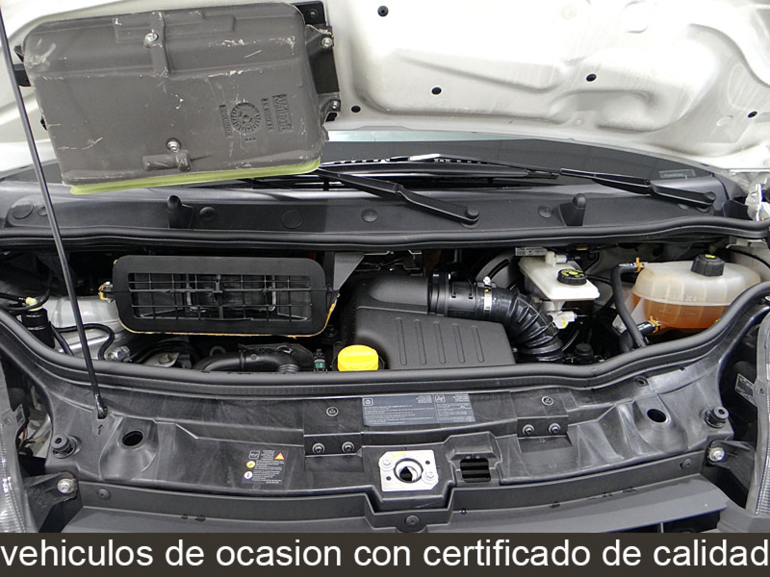 Foto Renault Trafic 19