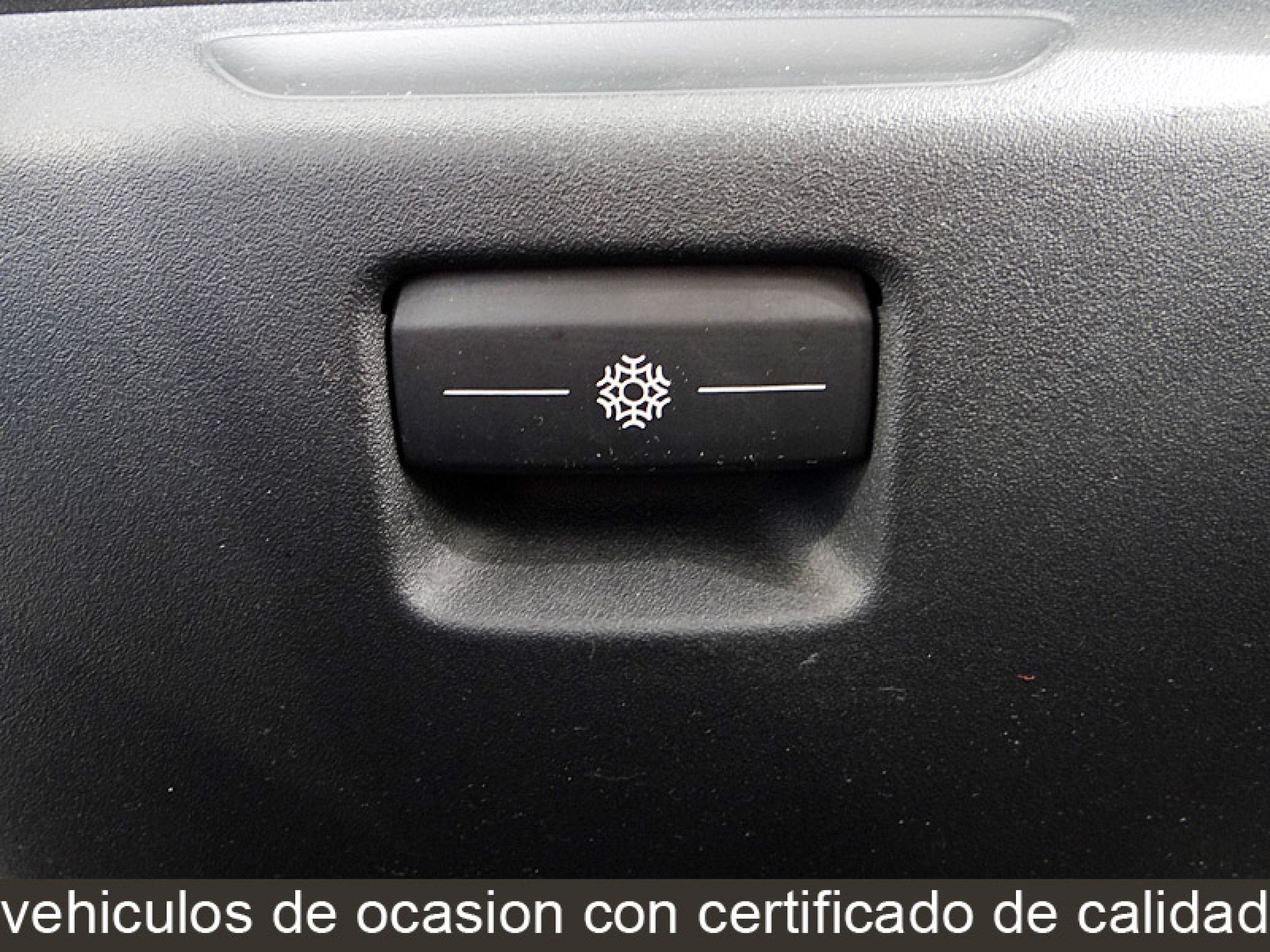 Foto Citroen C4 Picasso 36