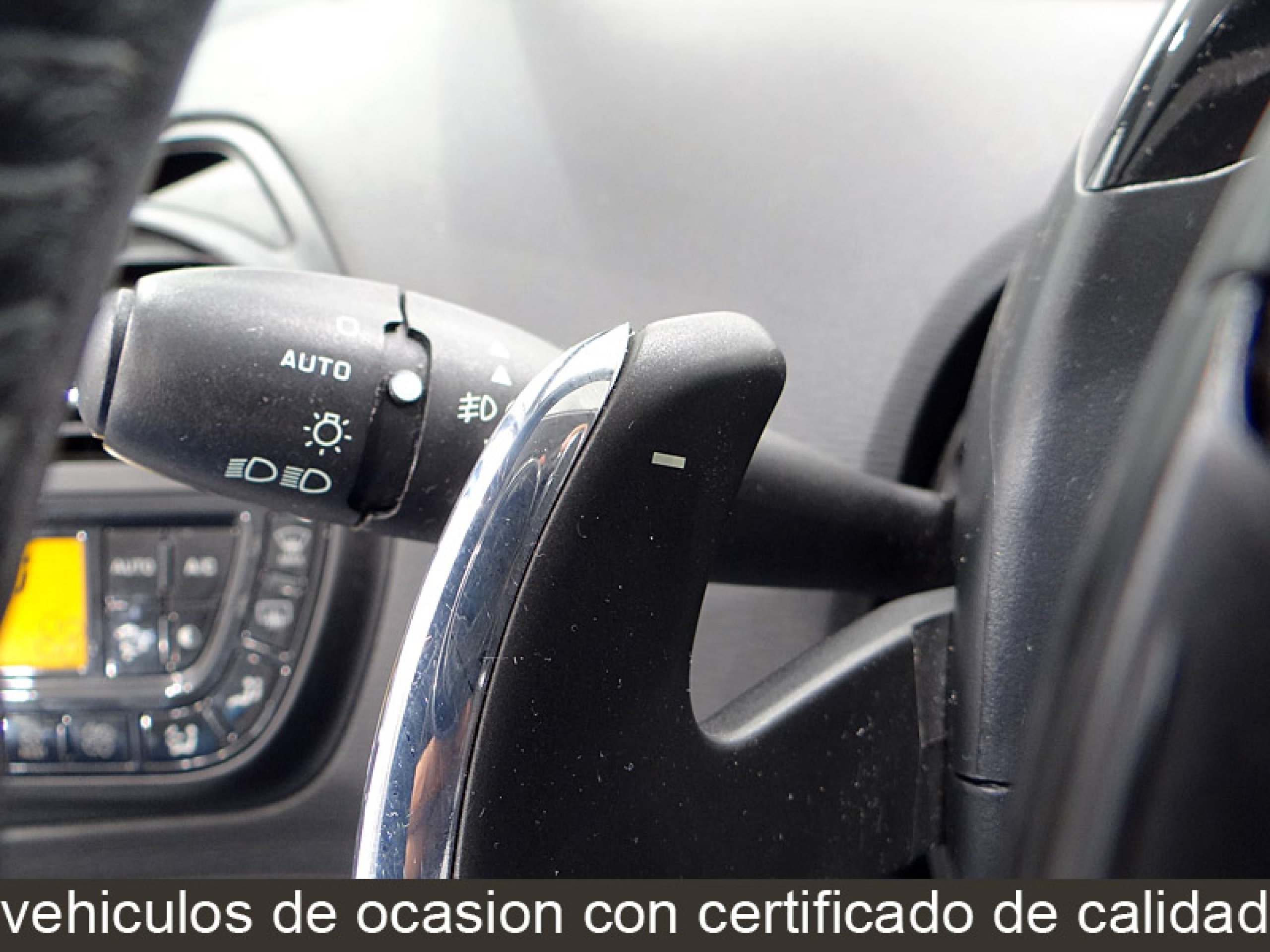 Foto Citroen C4 Picasso 38