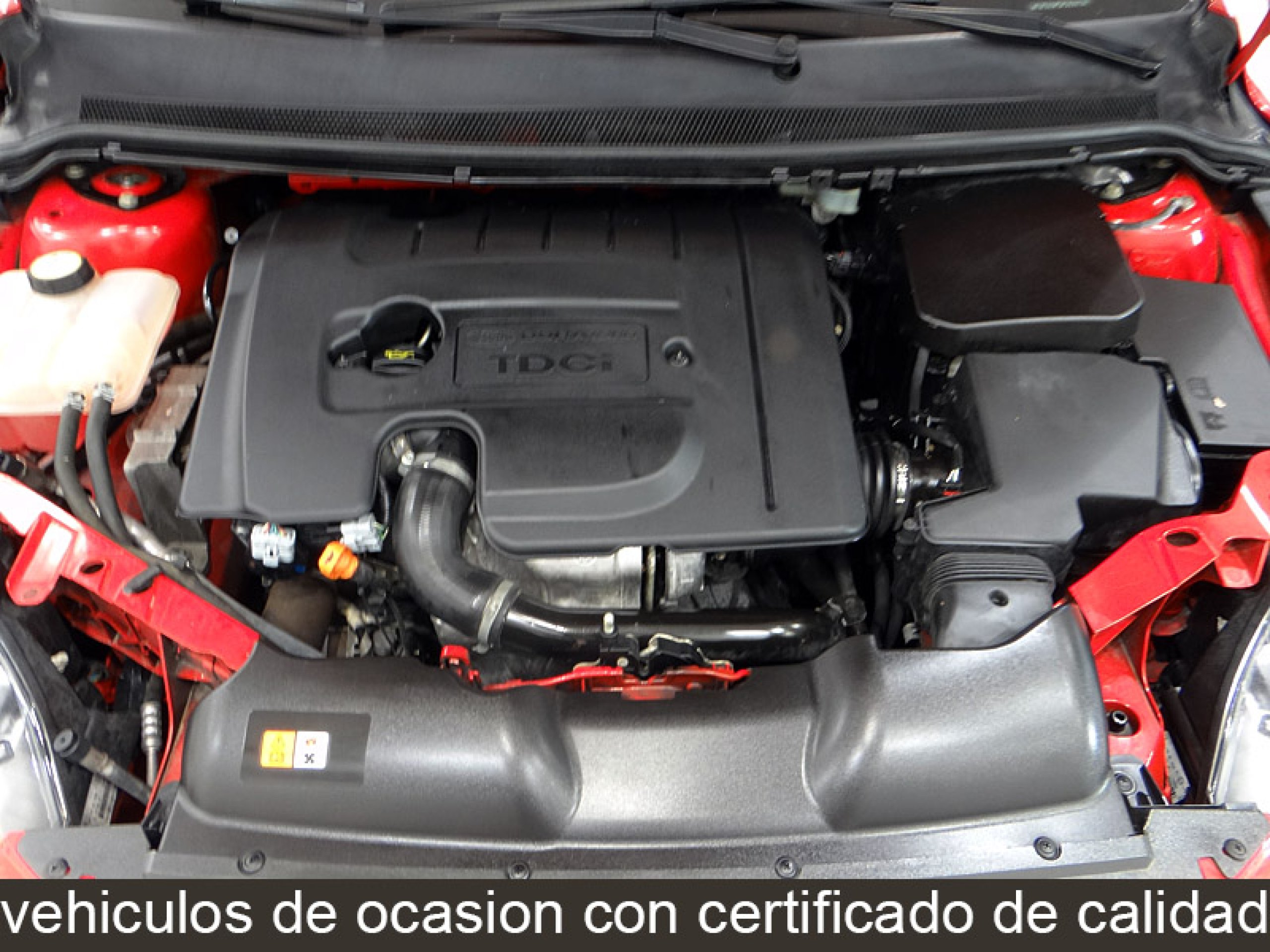 Foto Ford Focus 11