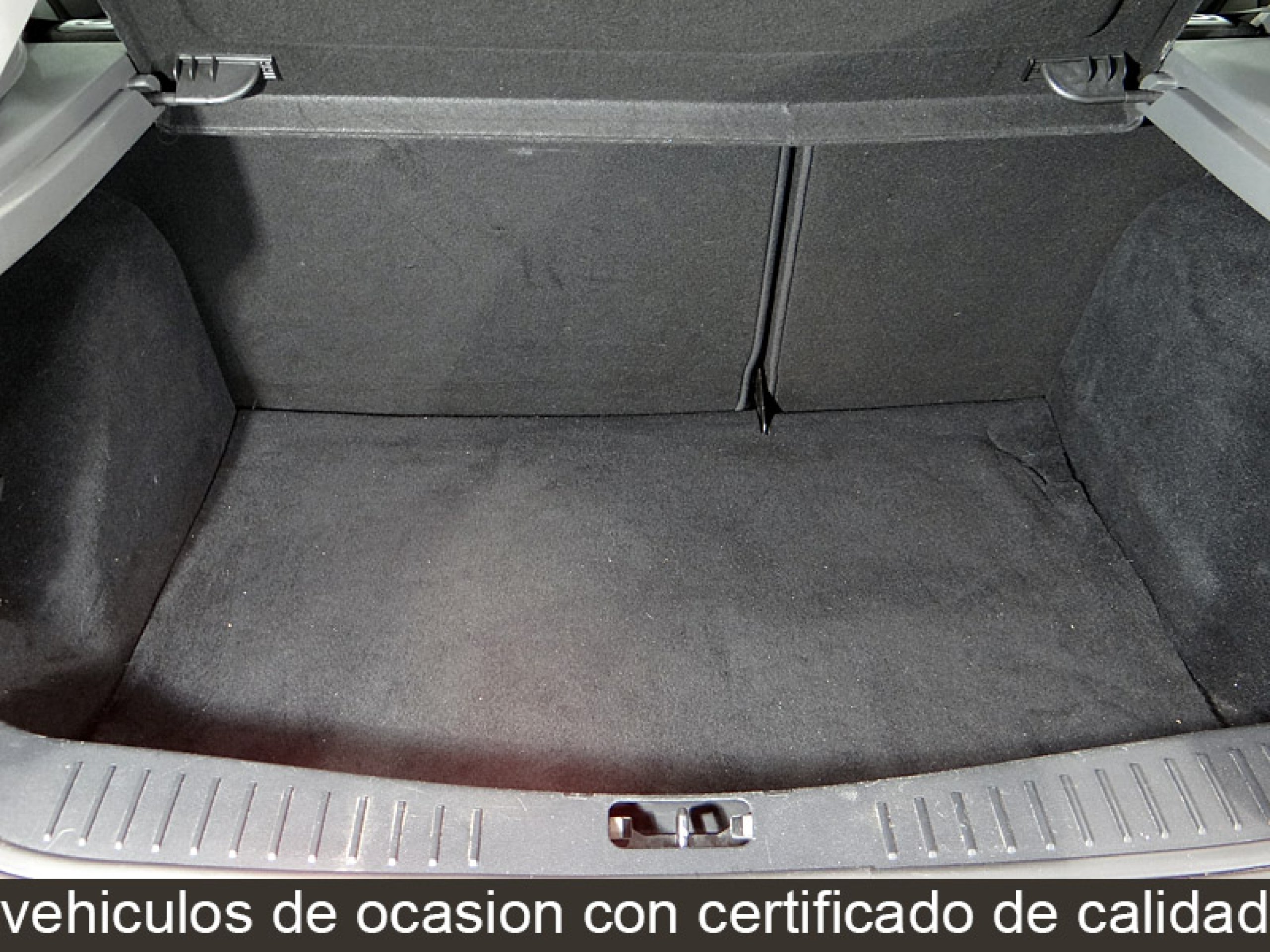 Foto Ford Focus 12