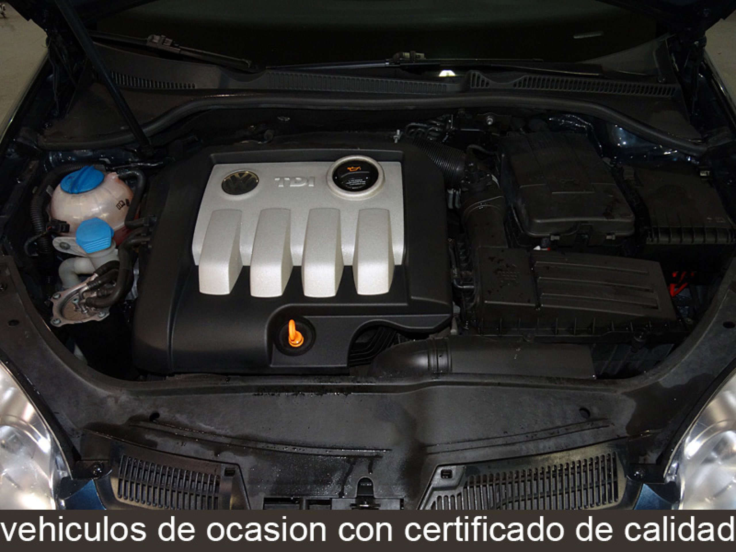 Foto Volkswagen Golf 8