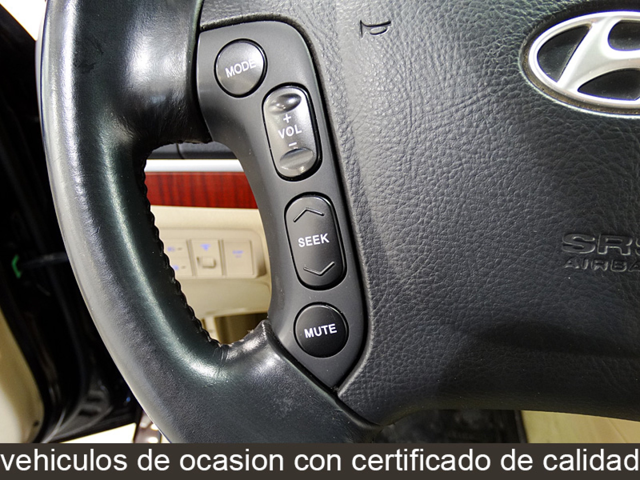Foto Hyundai Santa Fe 24