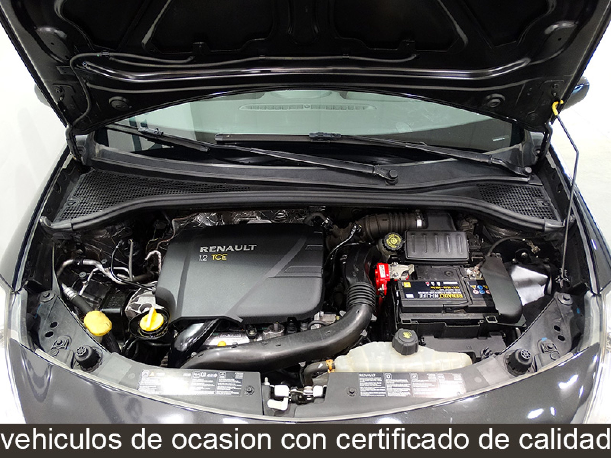 Foto Renault Clio 15