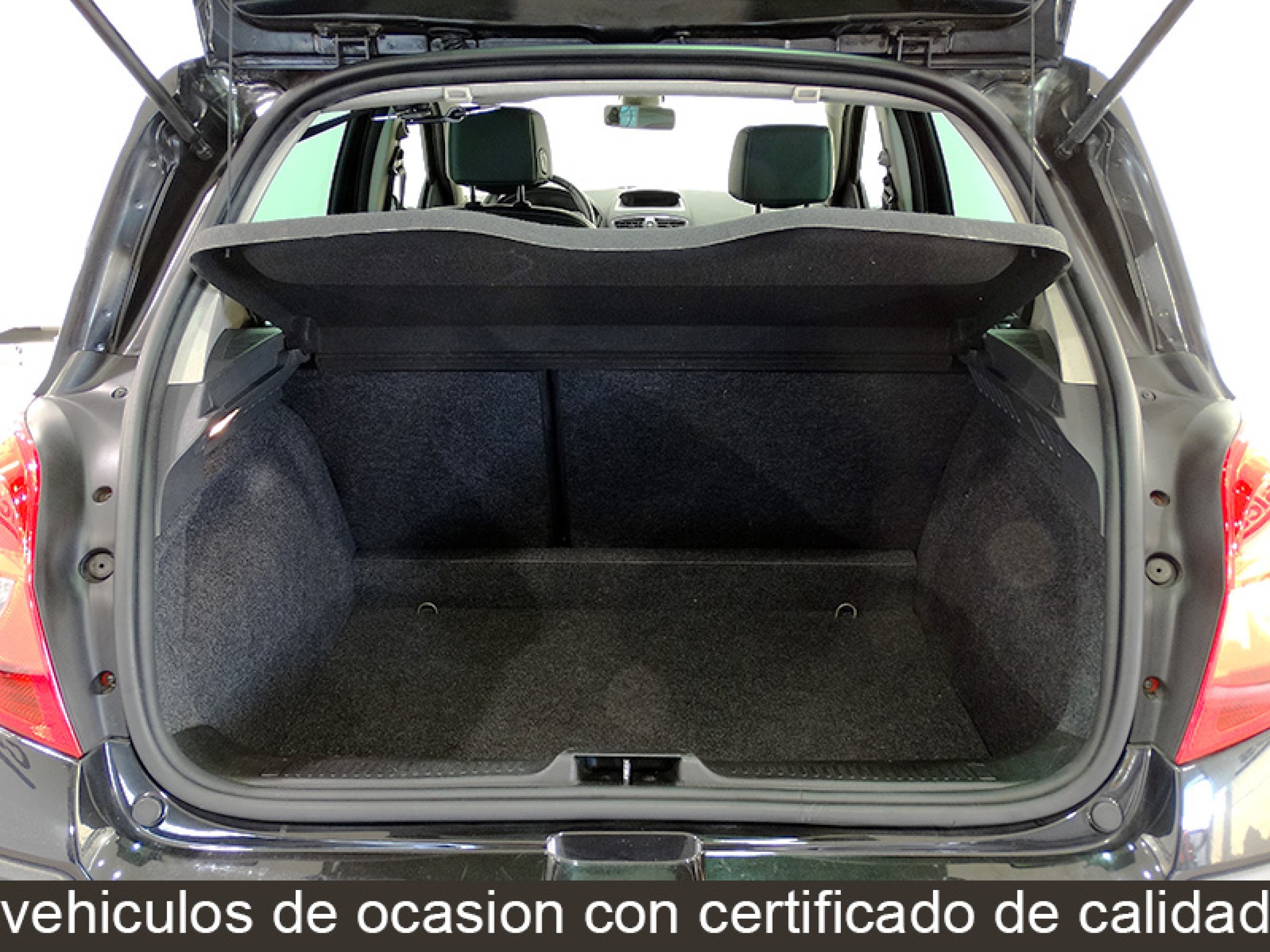 Foto Renault Clio 16