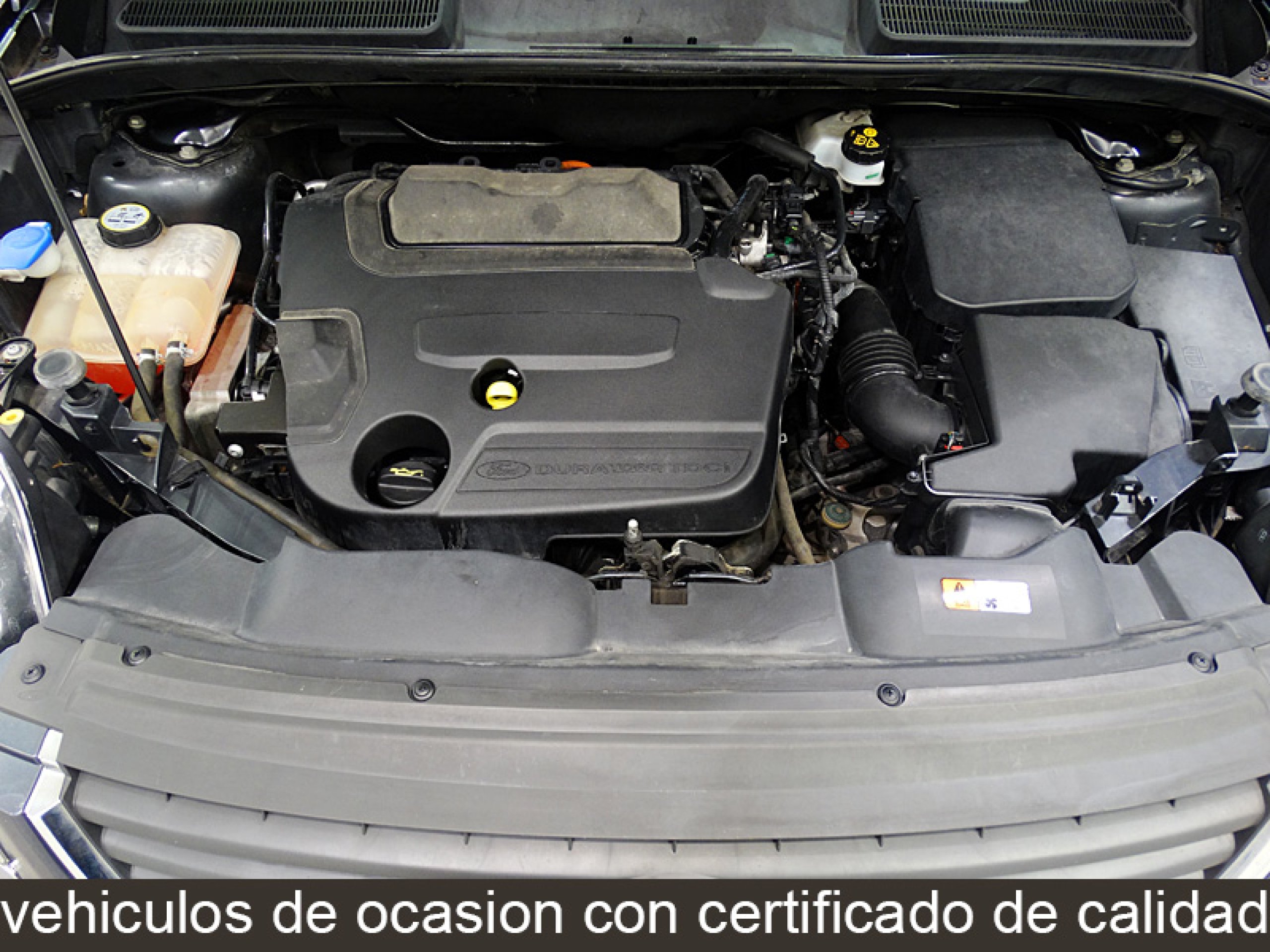 Foto Ford Kuga 11