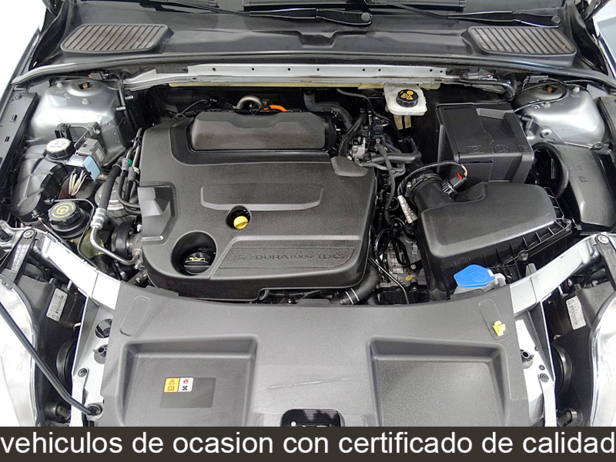 Foto Ford Mondeo 17