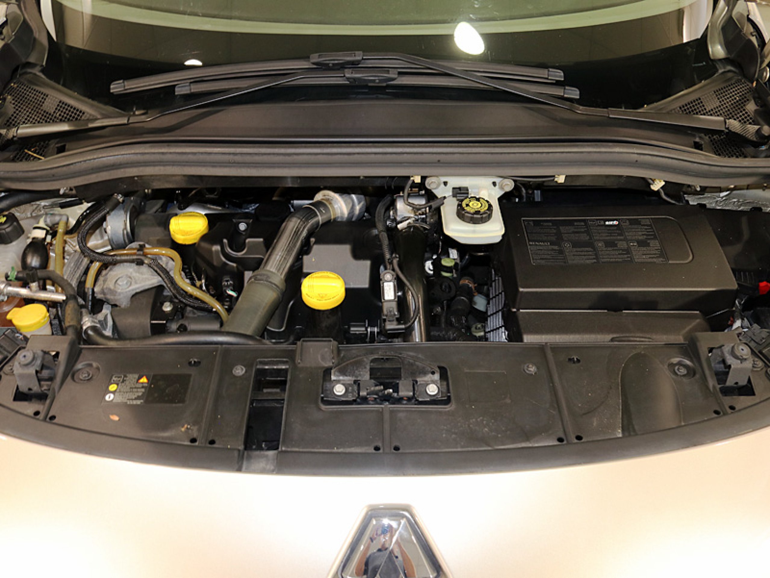 Foto Renault Grand Scenic 8 Foto Renault Grand Scenic 8