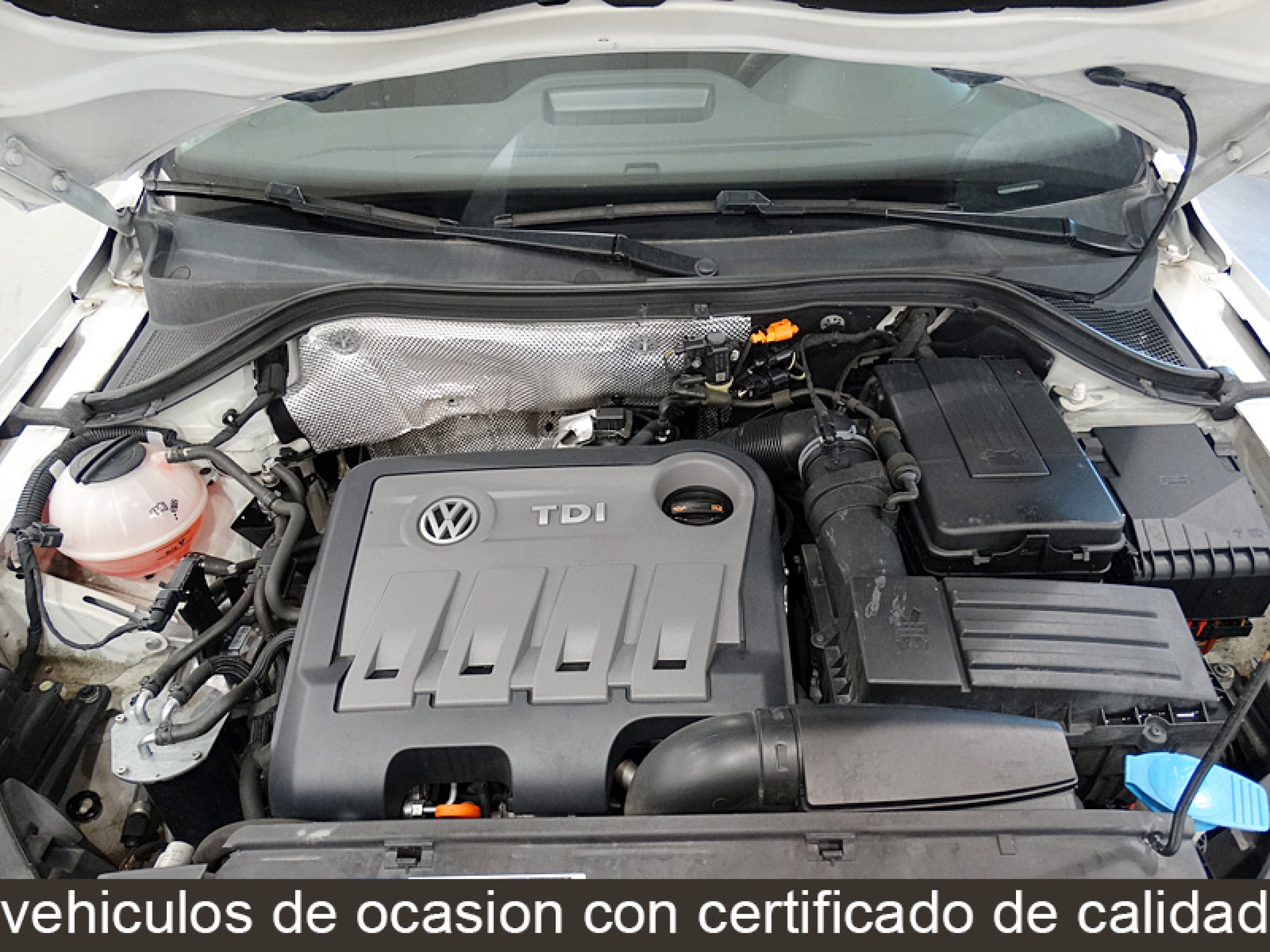 Foto Volkswagen Tiguan 15