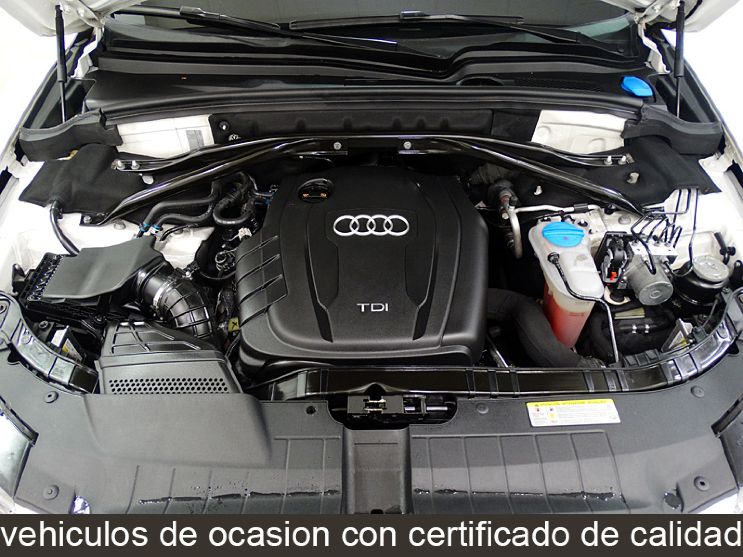 Foto Audi Q5 11