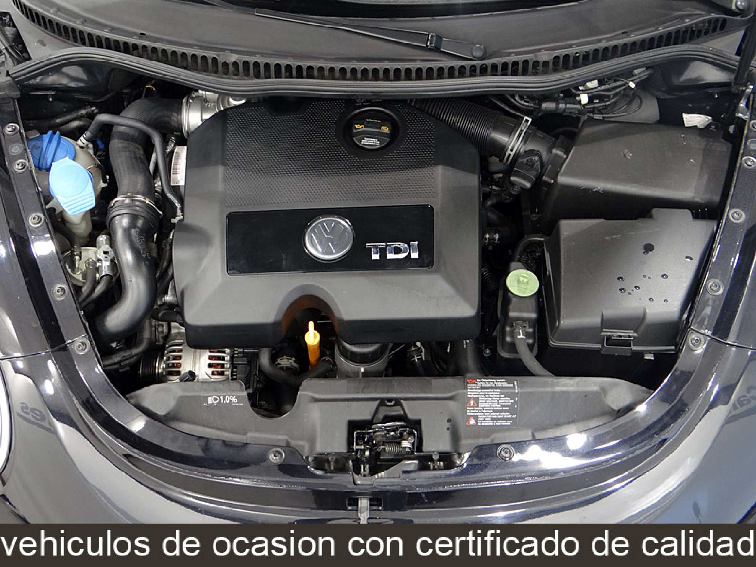 Foto Volkswagen Beetle 16