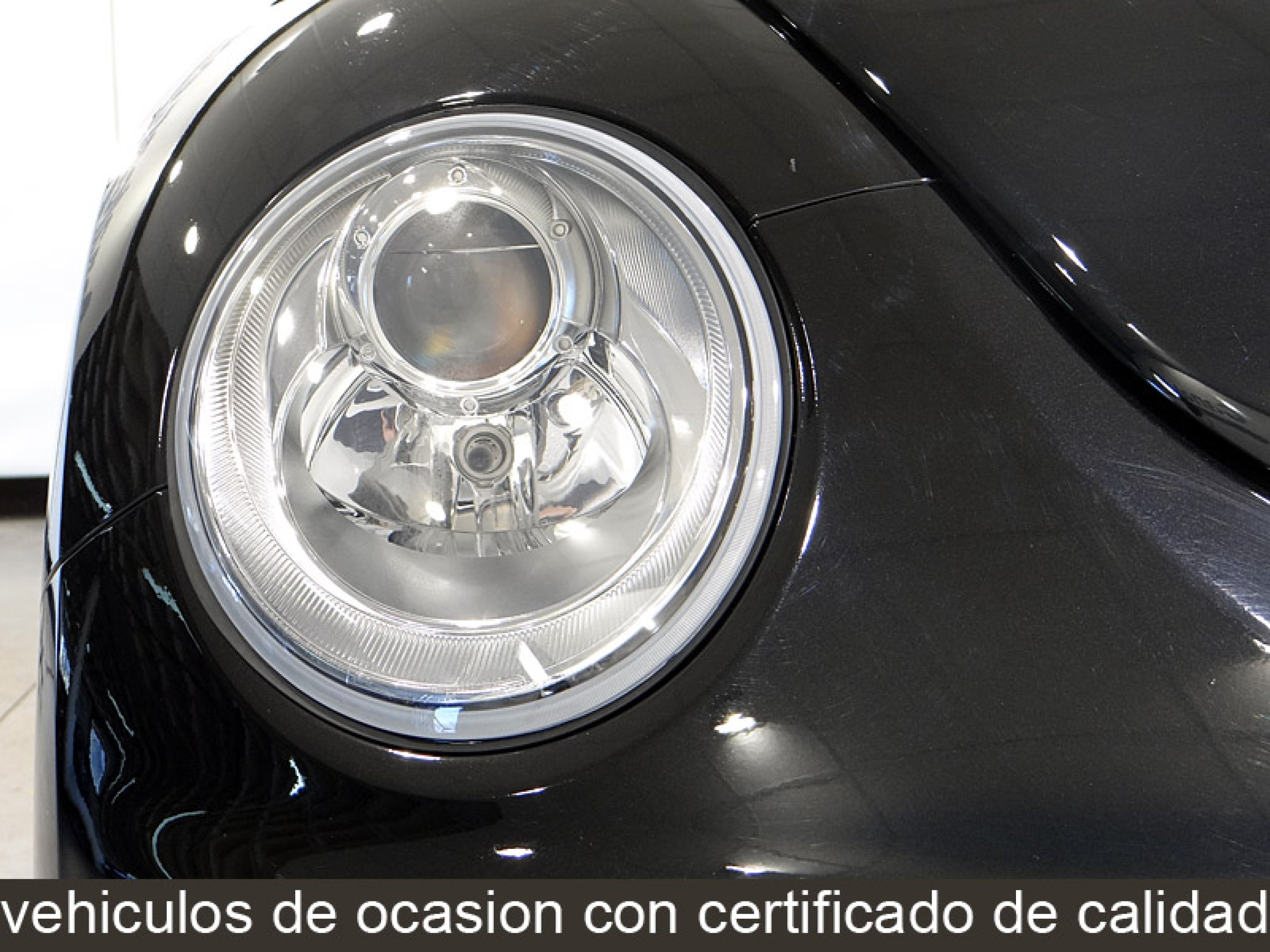 Foto Volkswagen Beetle 17