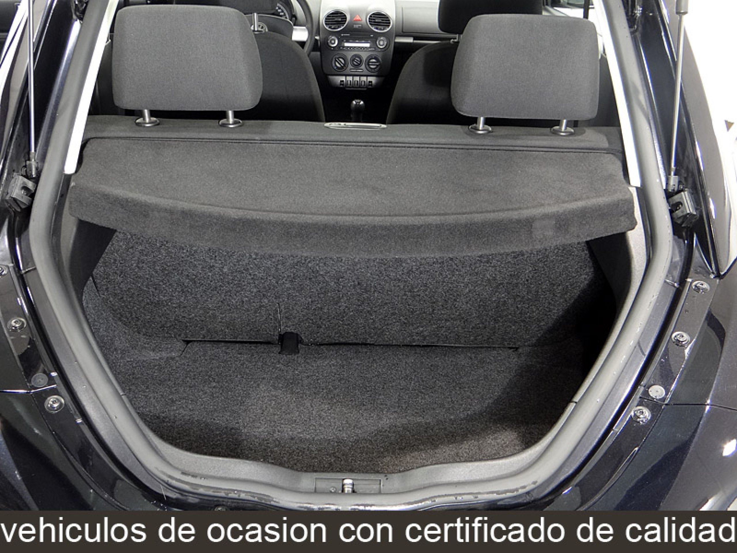 Foto Volkswagen Beetle 21