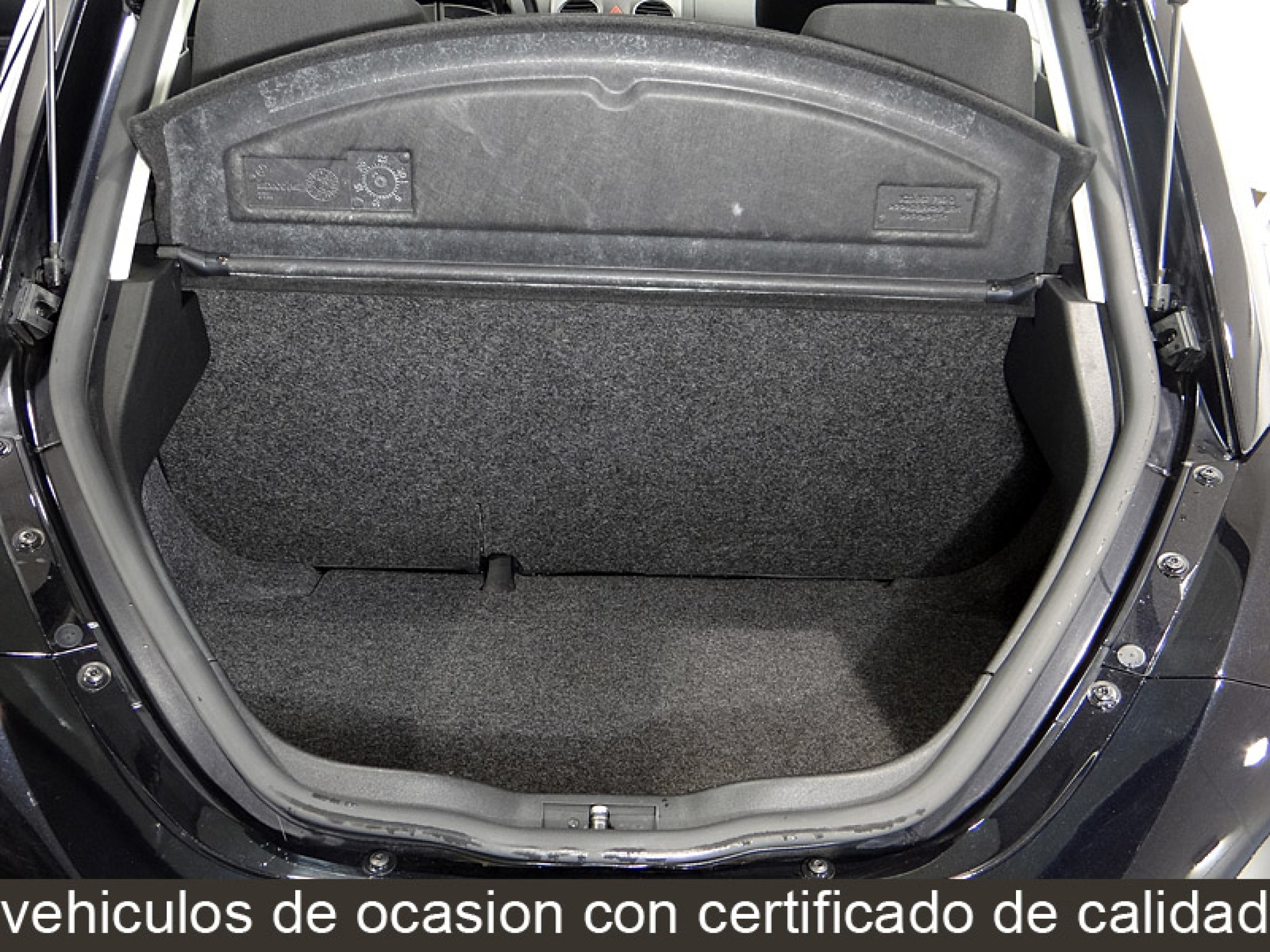 Foto Volkswagen Beetle 22