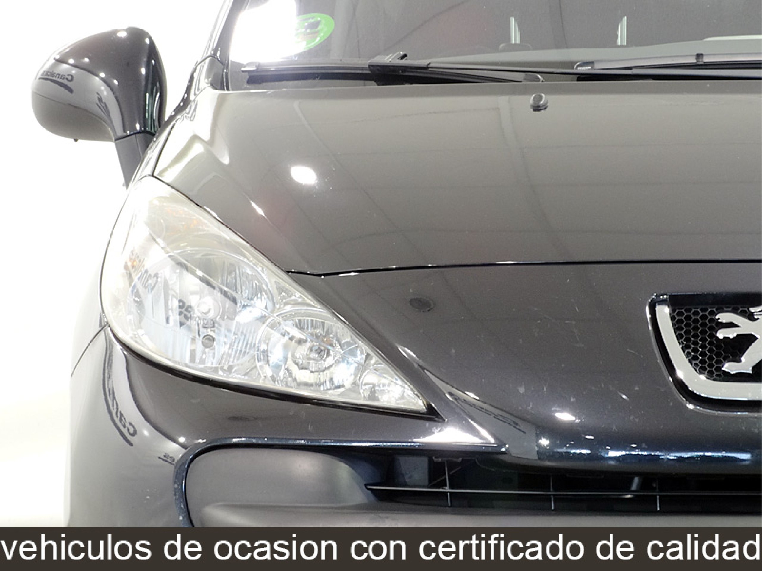 Foto Peugeot 207 11