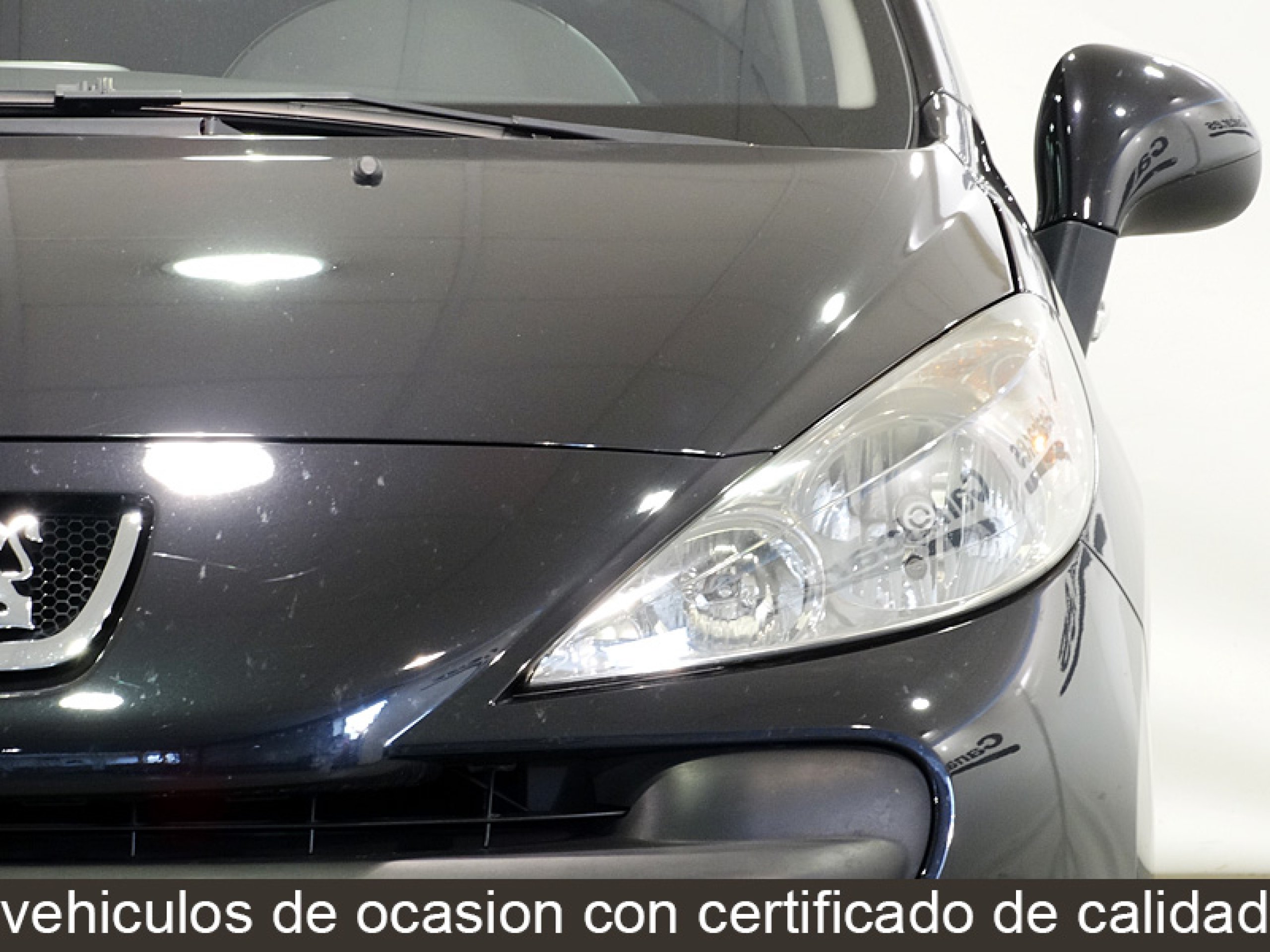 Foto Peugeot 207 12