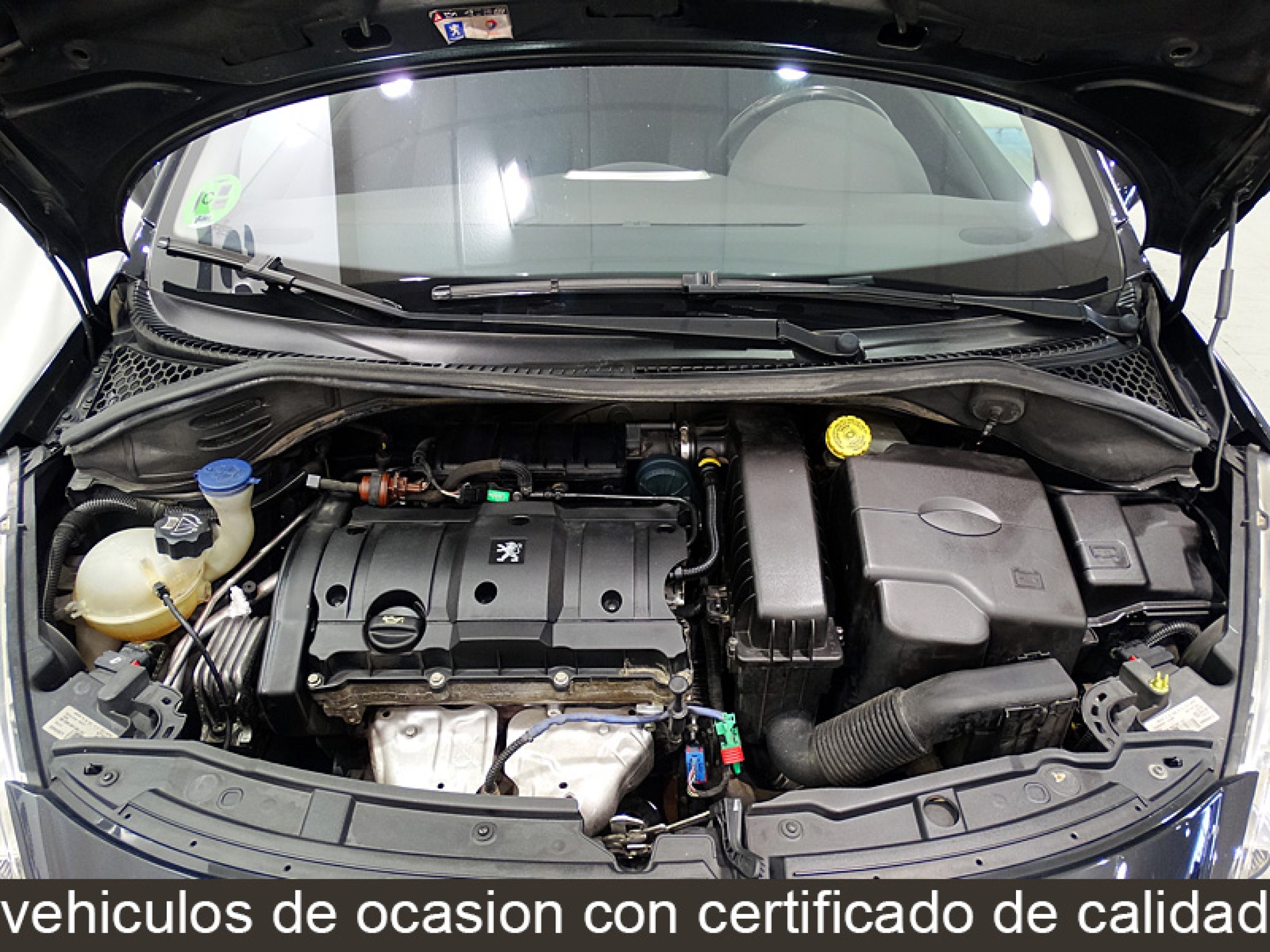 Foto Peugeot 207 15